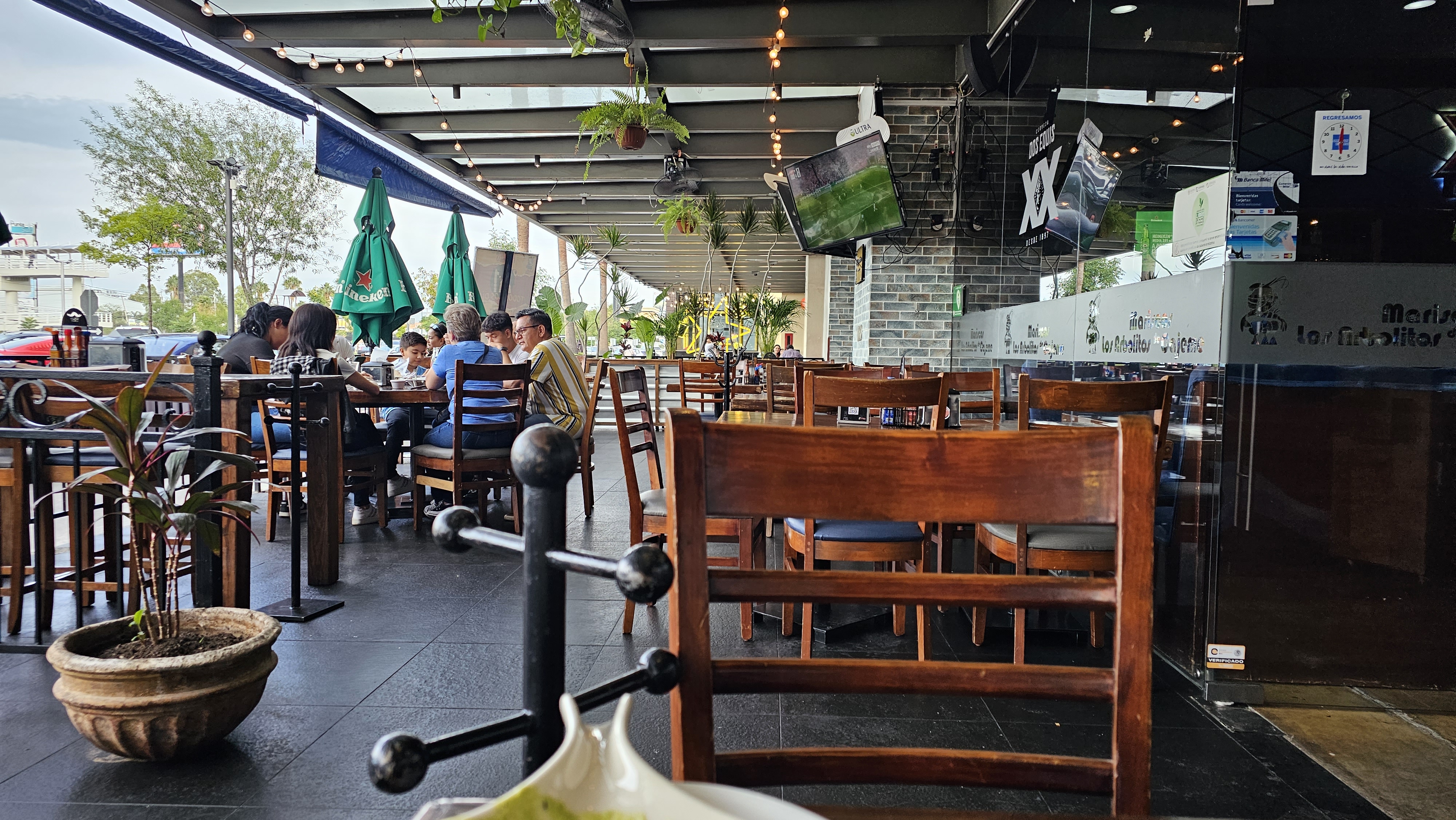 Los Arbolitos de Cajeme Altacia image 1