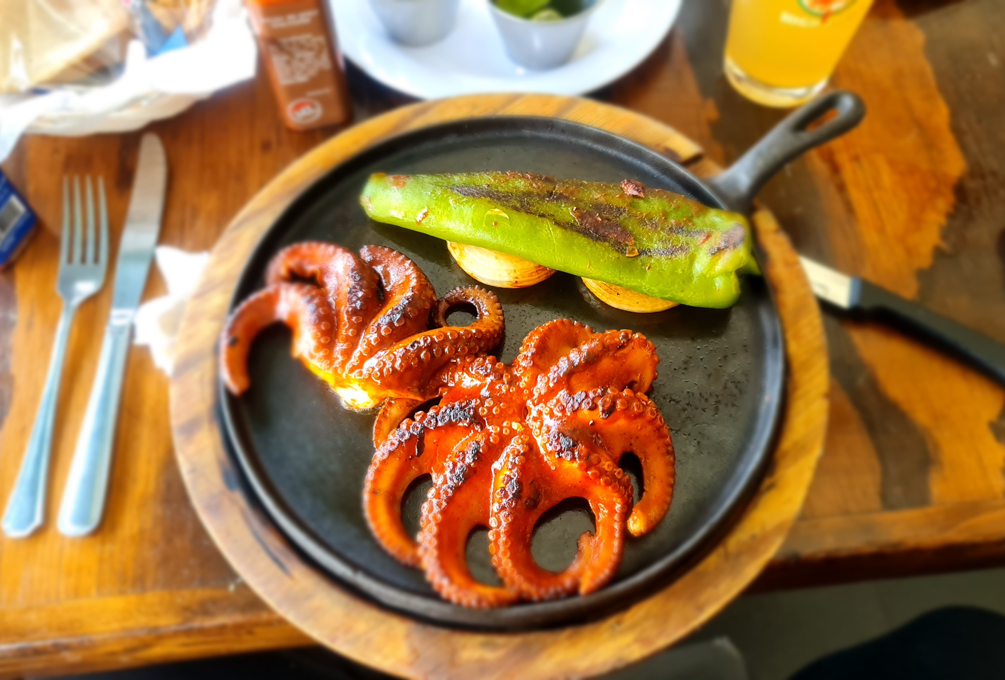 Los Arbolitos de Cajeme Altacia image 4