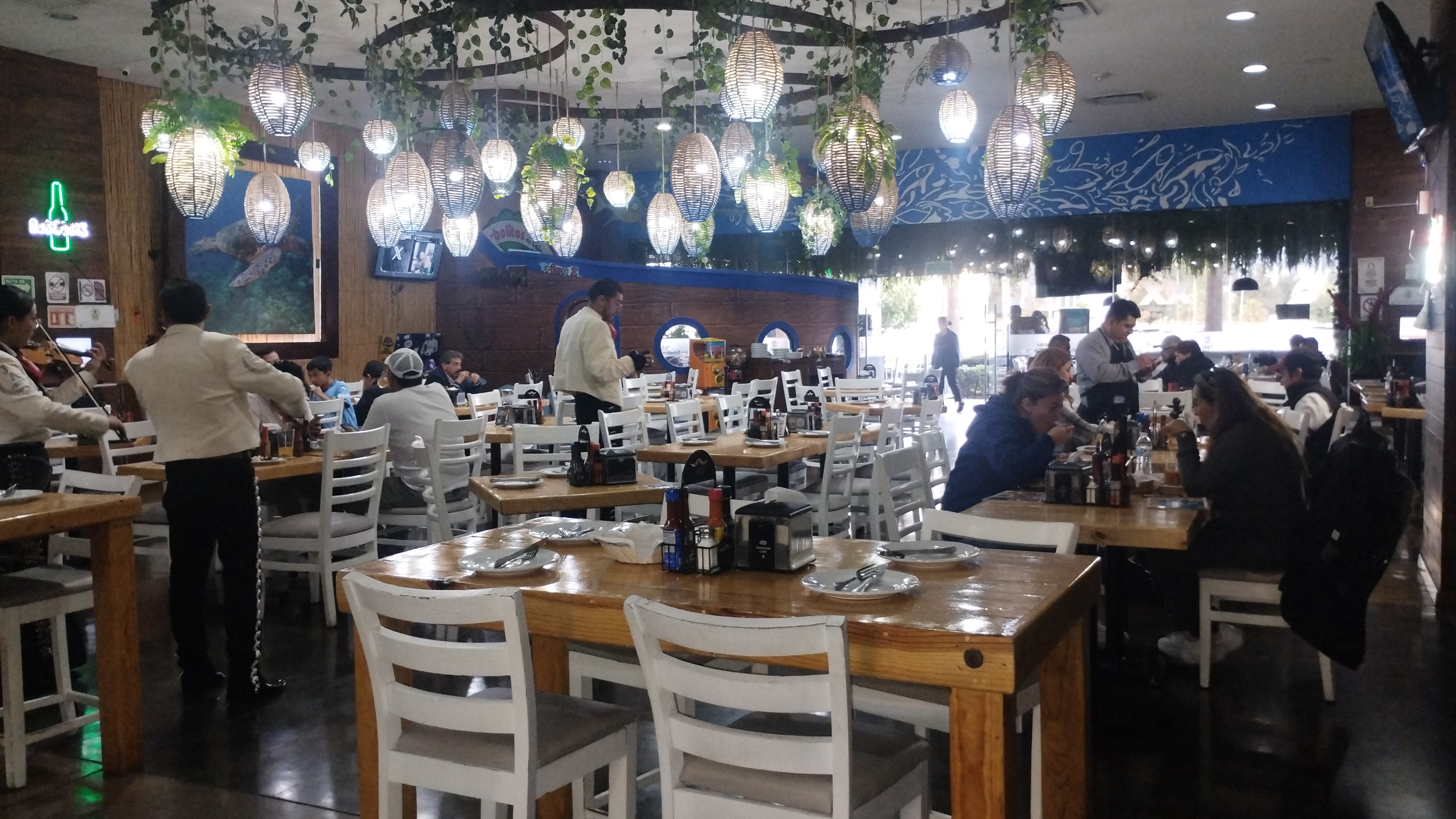 Los Arbolitos de Cajeme Altacia image 5