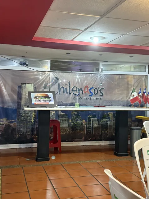 Chilenaso's image 5