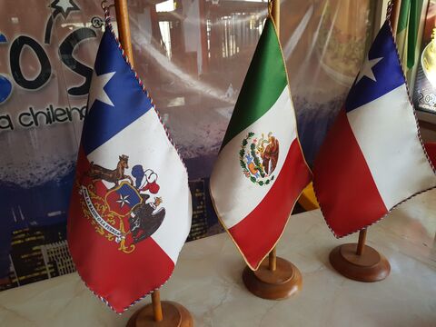 Chilenaso's image 8