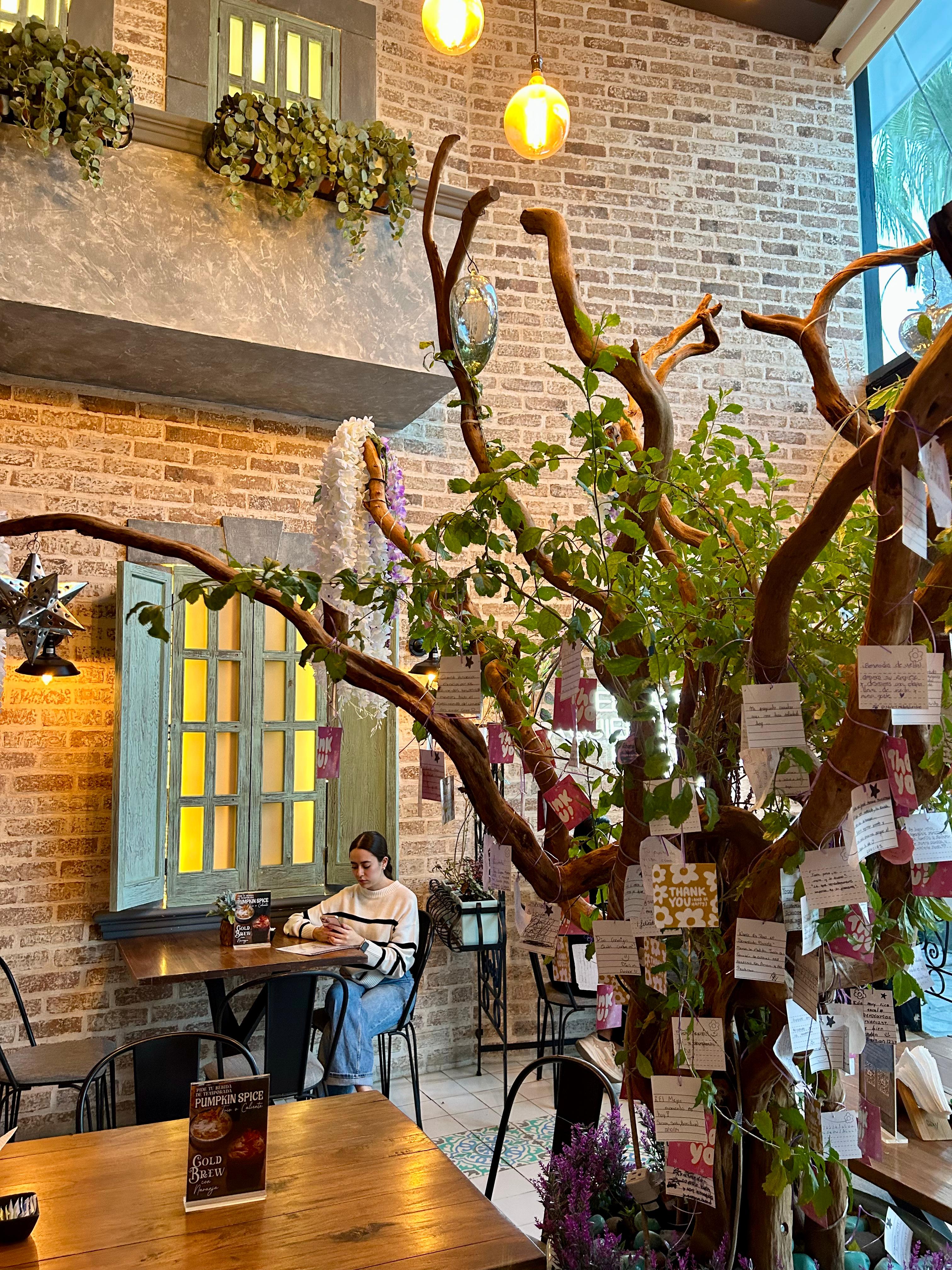 Achicoria Cafetería image 1