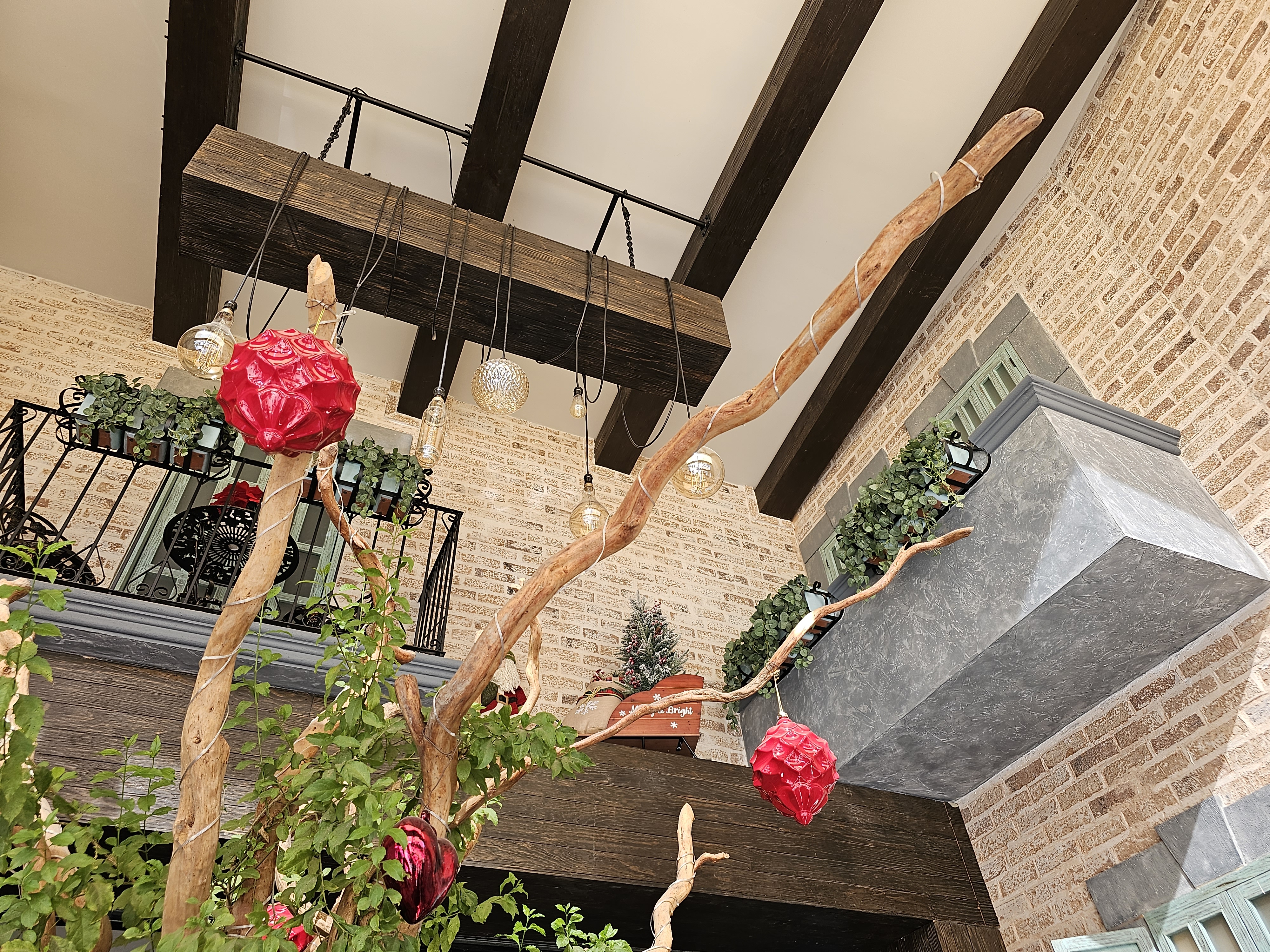 Achicoria Cafetería image 9