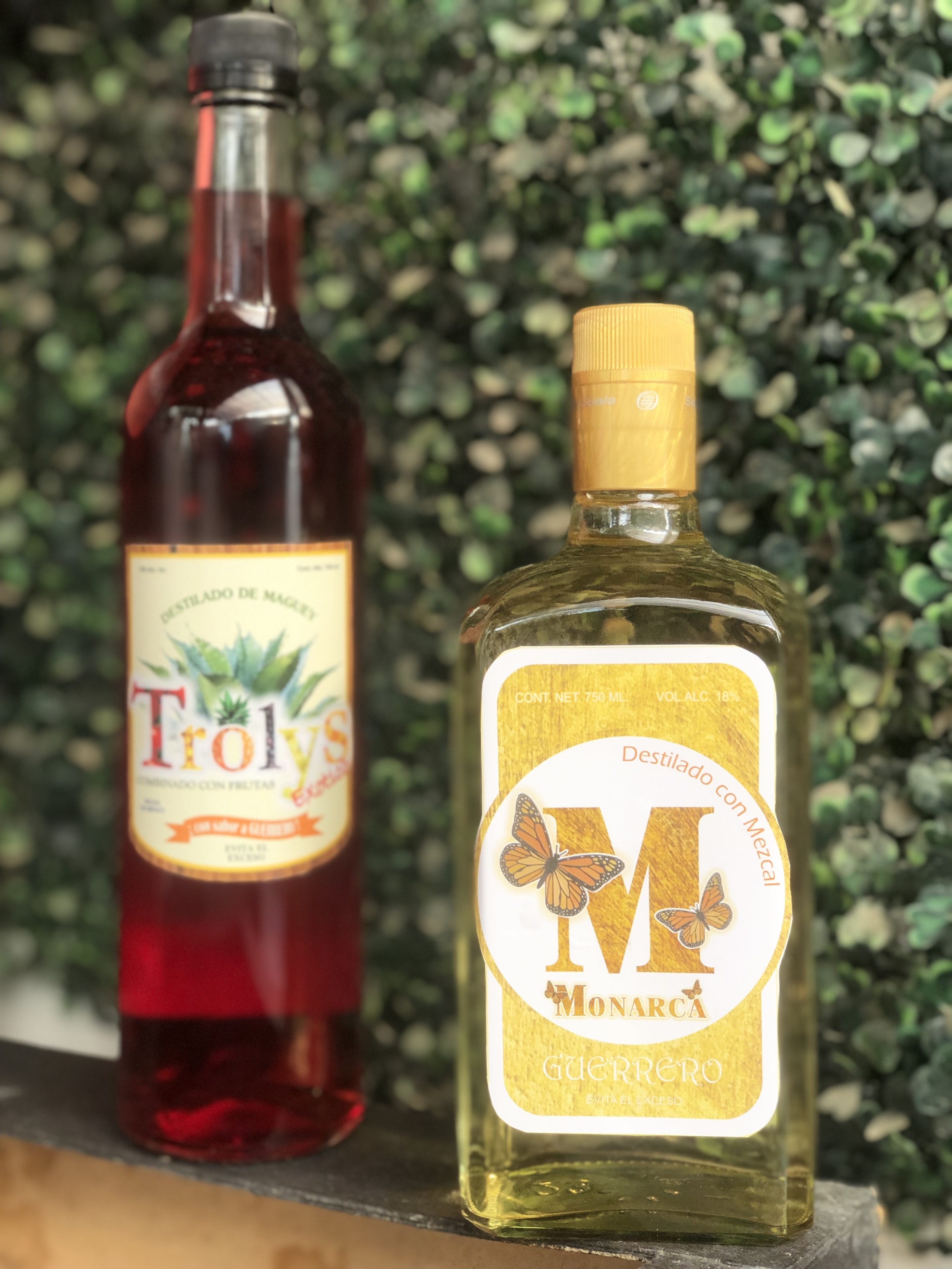 MONARCA restaurant y jardín de eventos image 9