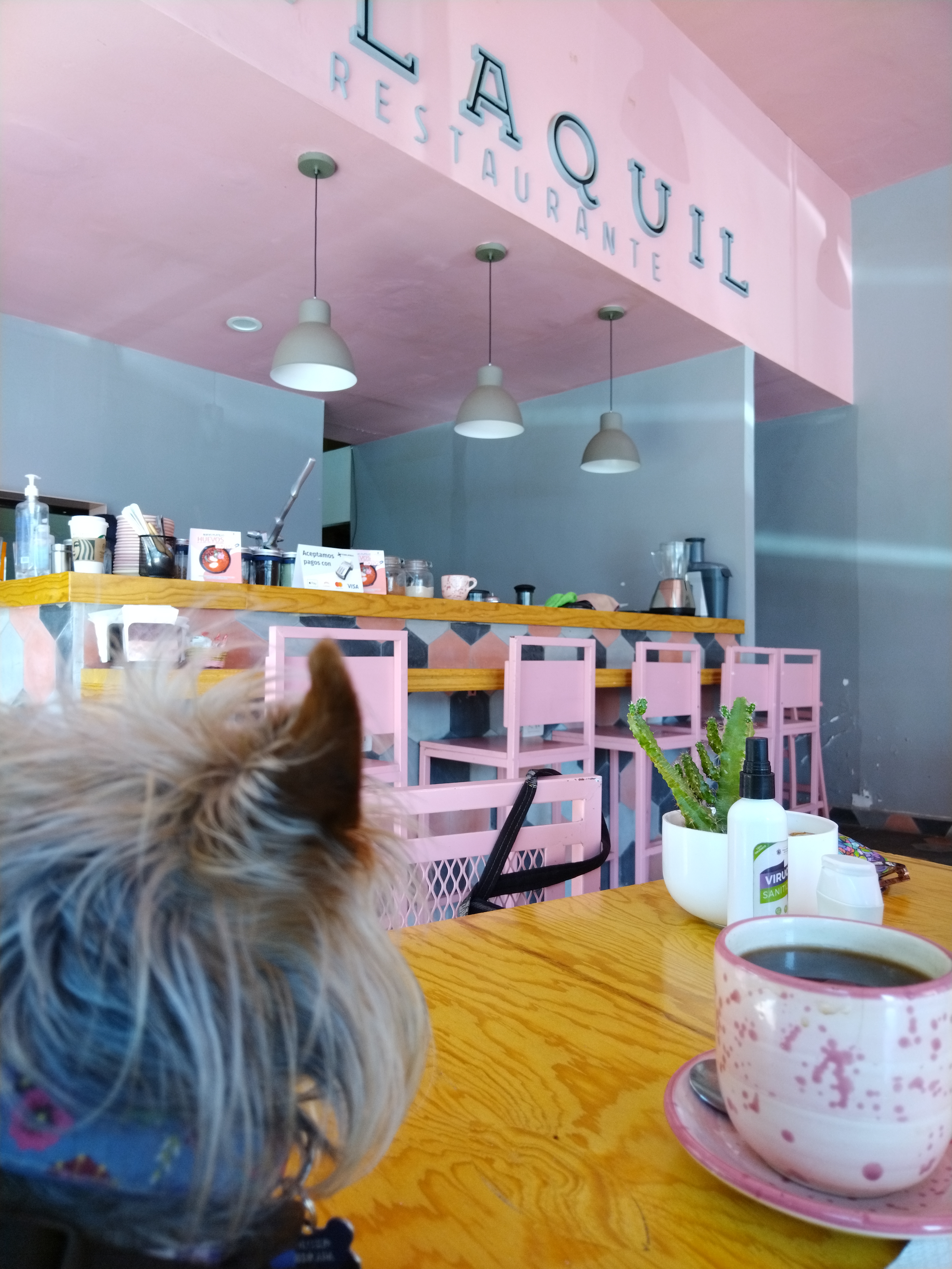 Xilaquil Restaurante image 6