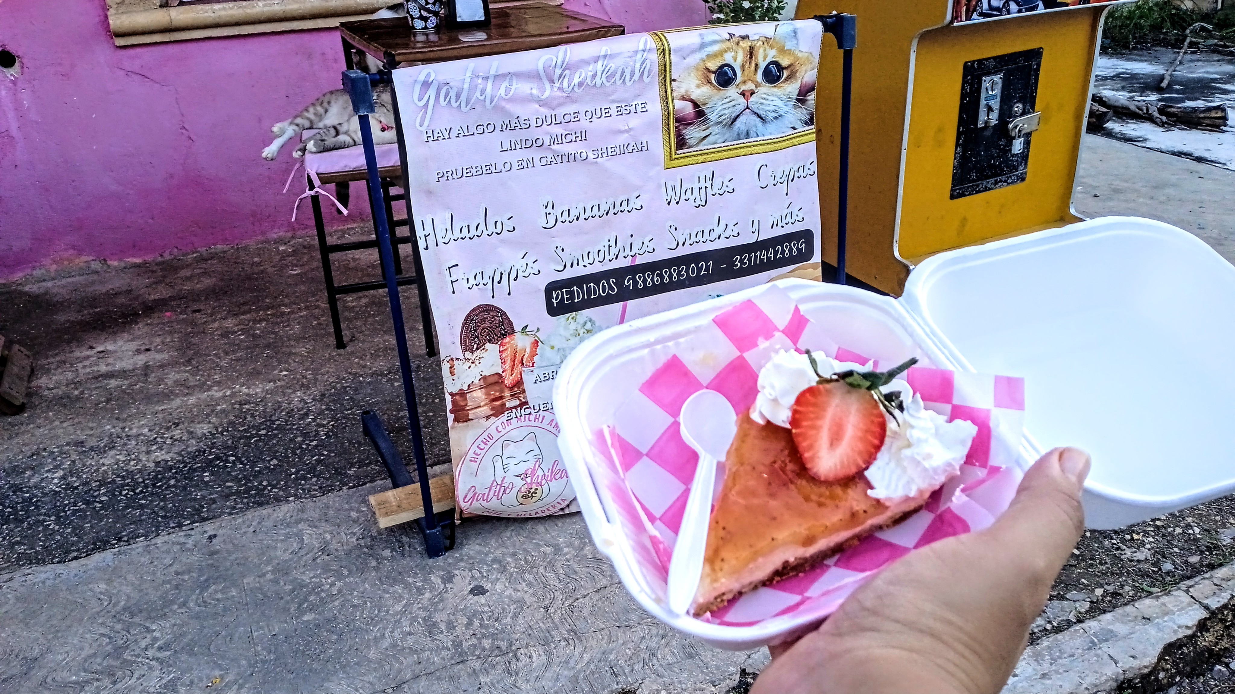 Café Heladeria Gatito Sheikah image 7
