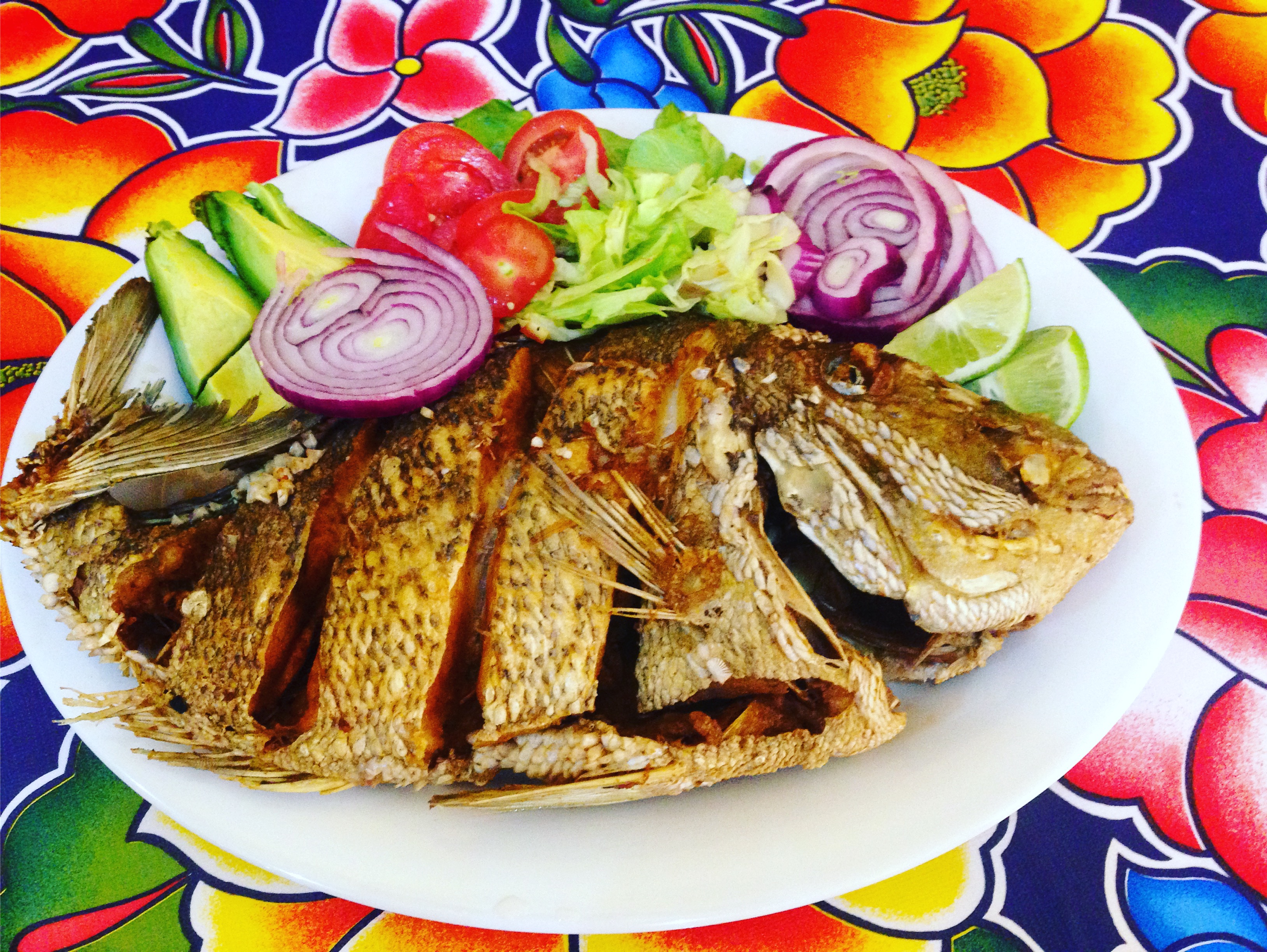 Coctelería San Judas Tadeo image 8