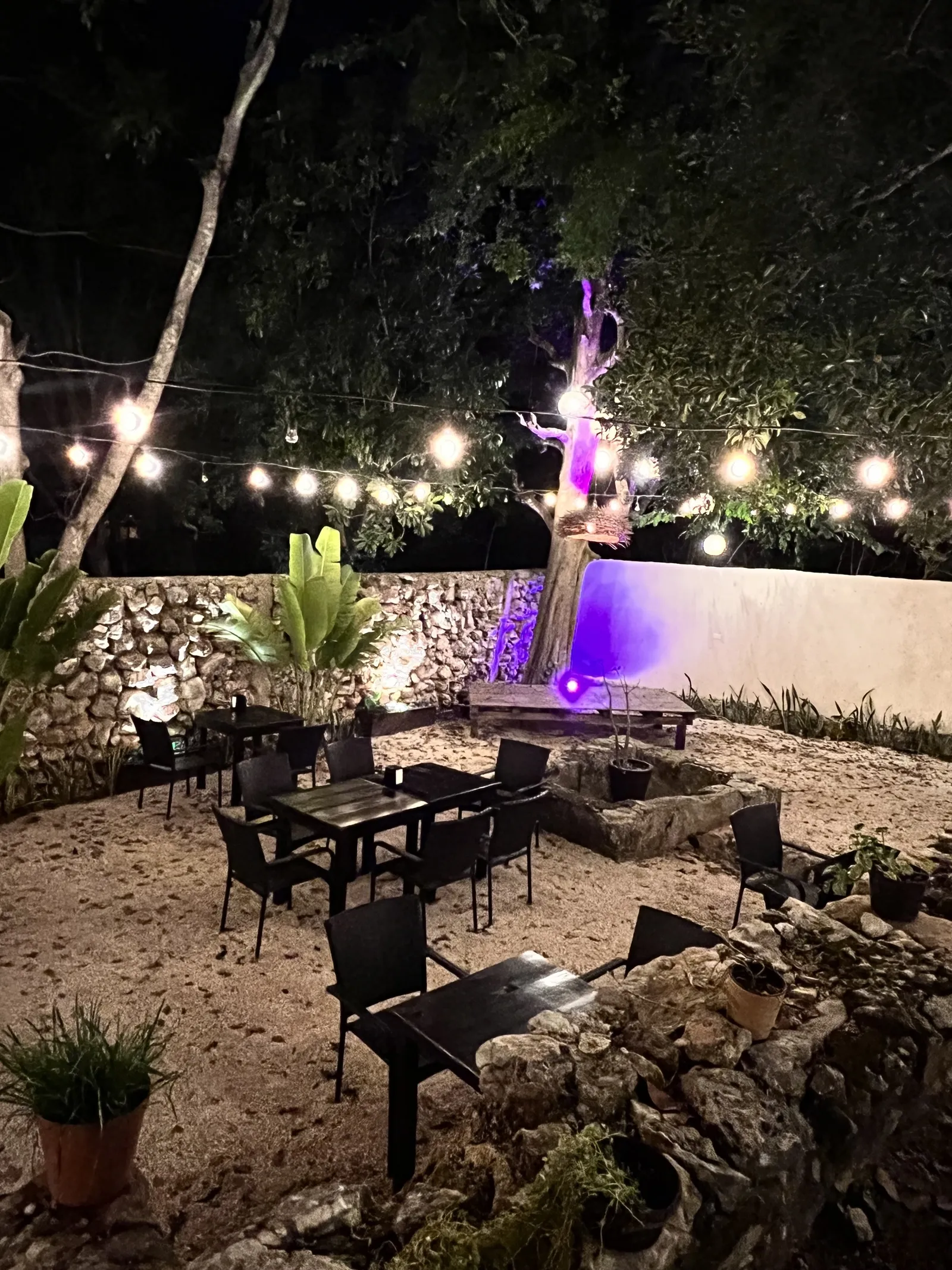 La noria restaurante image 3