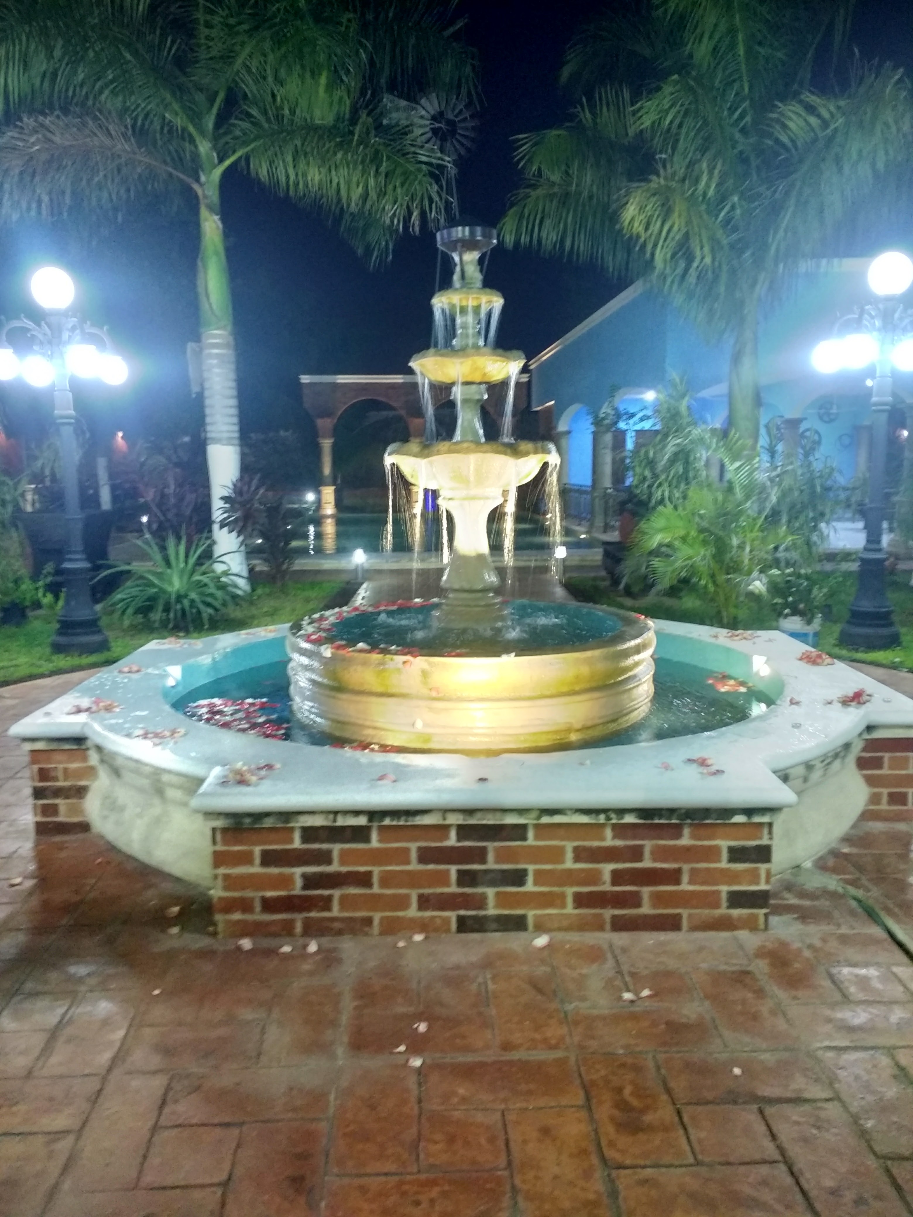 RESTAURANT LA PALAPA DE TADEO image 7