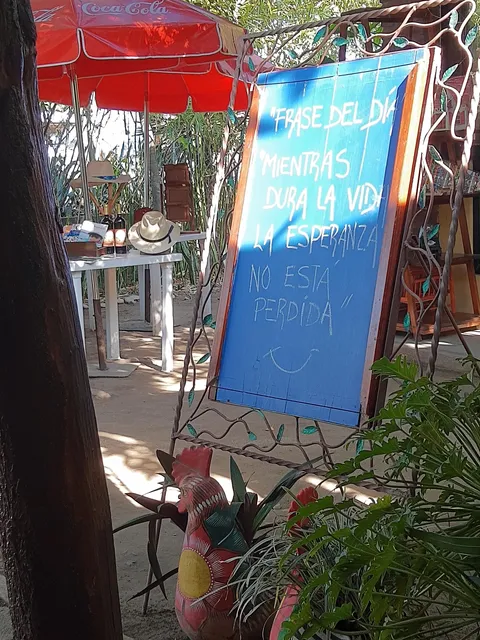 Ivonne image 8
