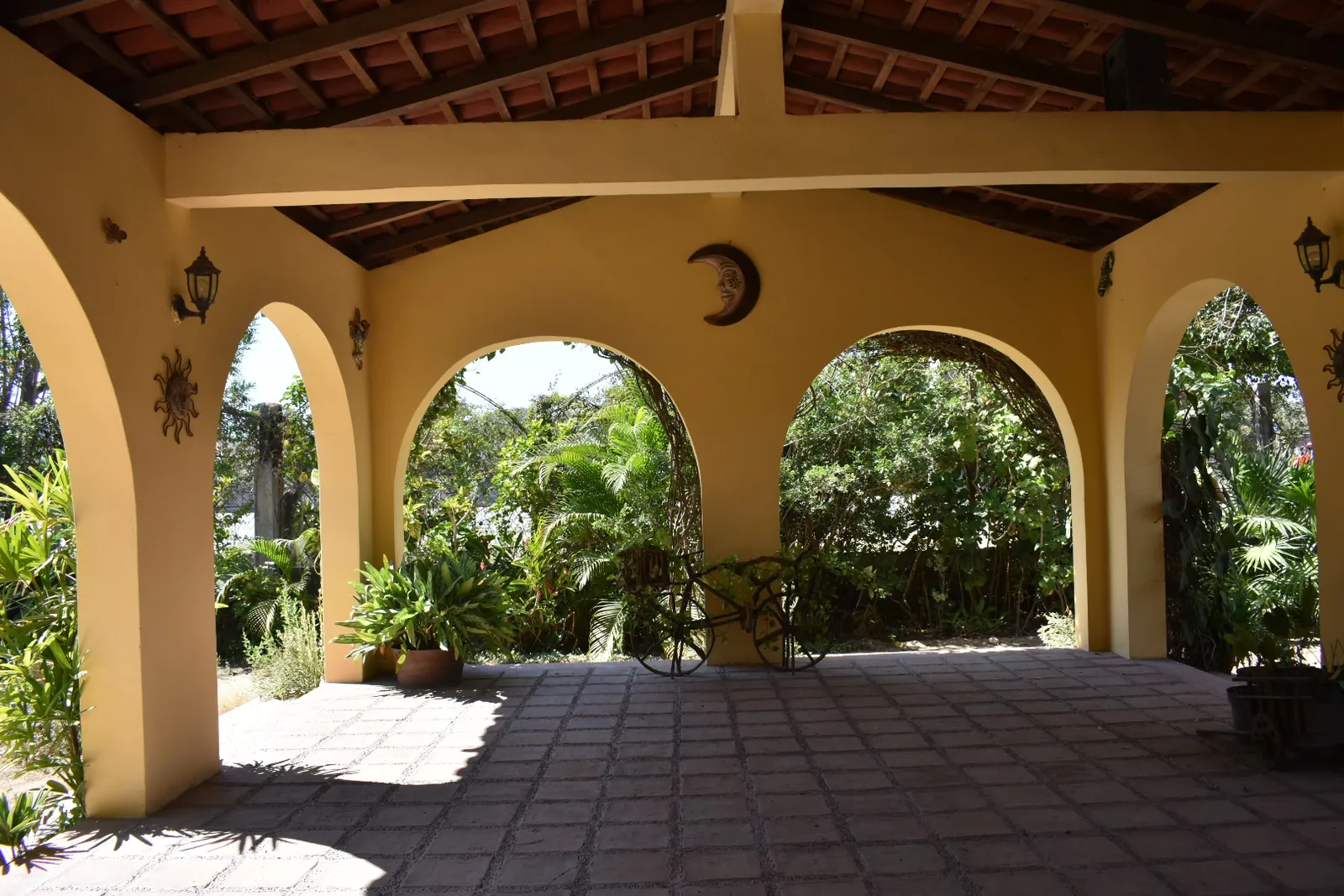 Ivonne image 10