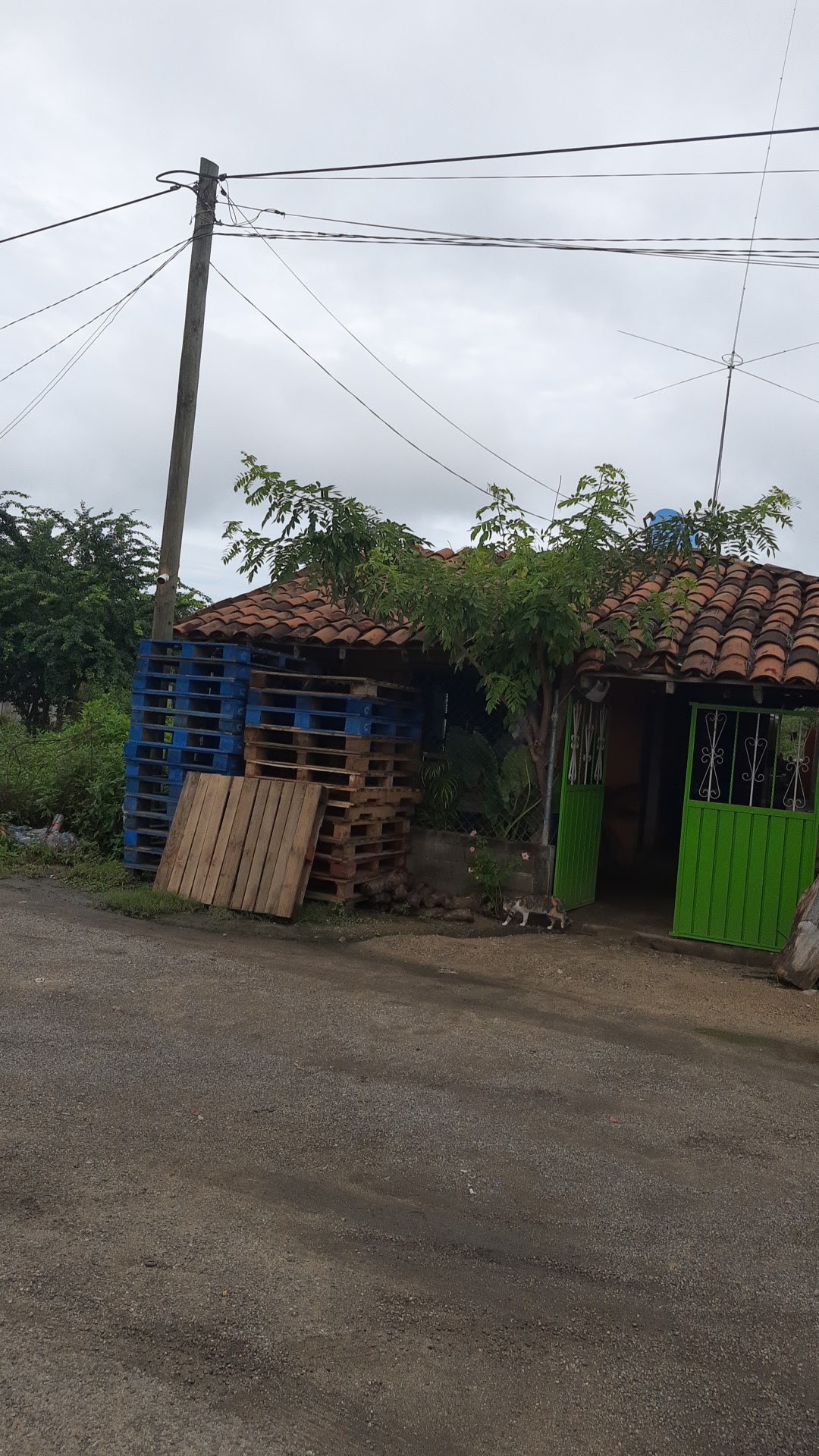 Restaurante rico antes copala image 2