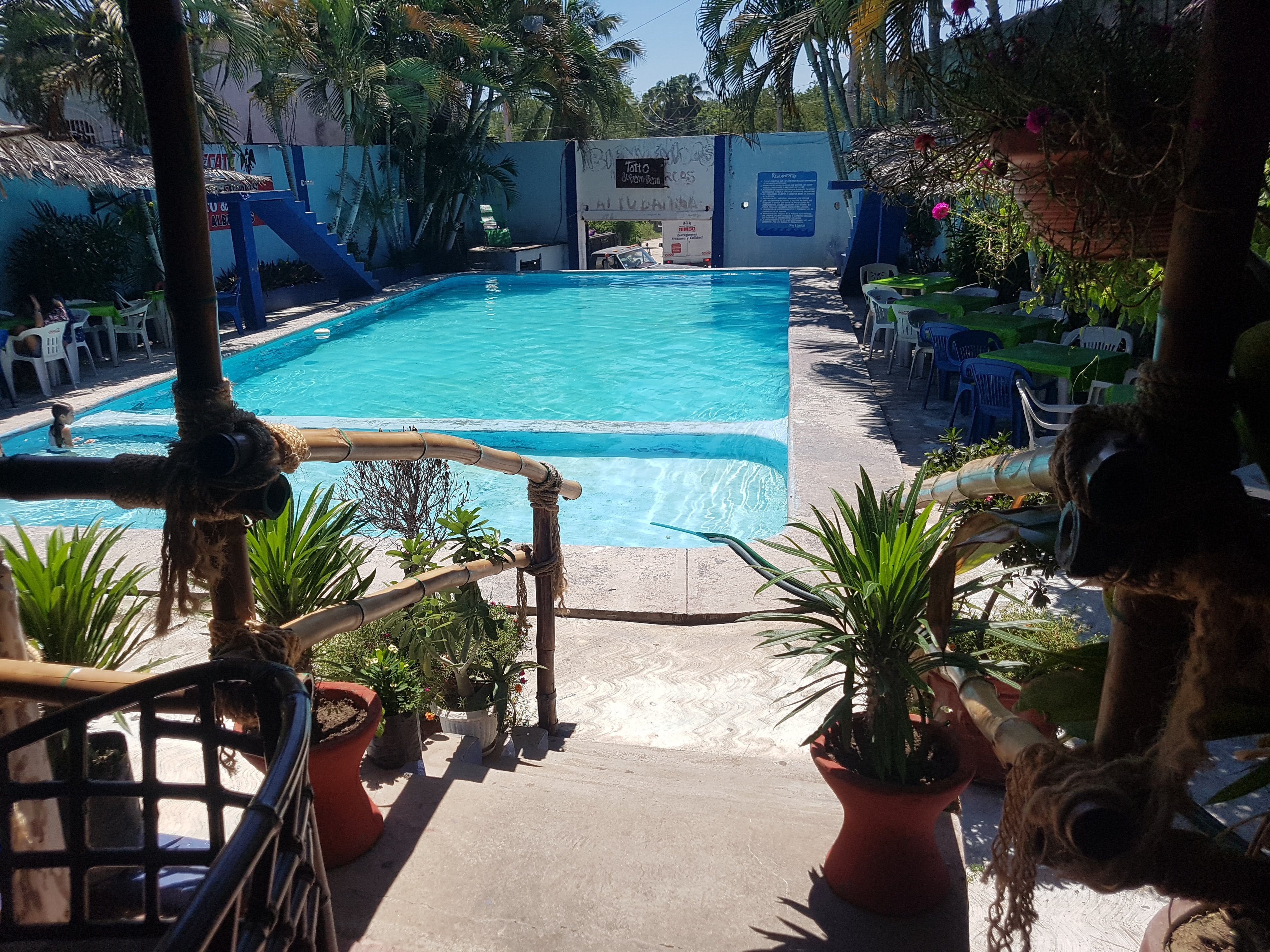 Tatto & BamBam image 7