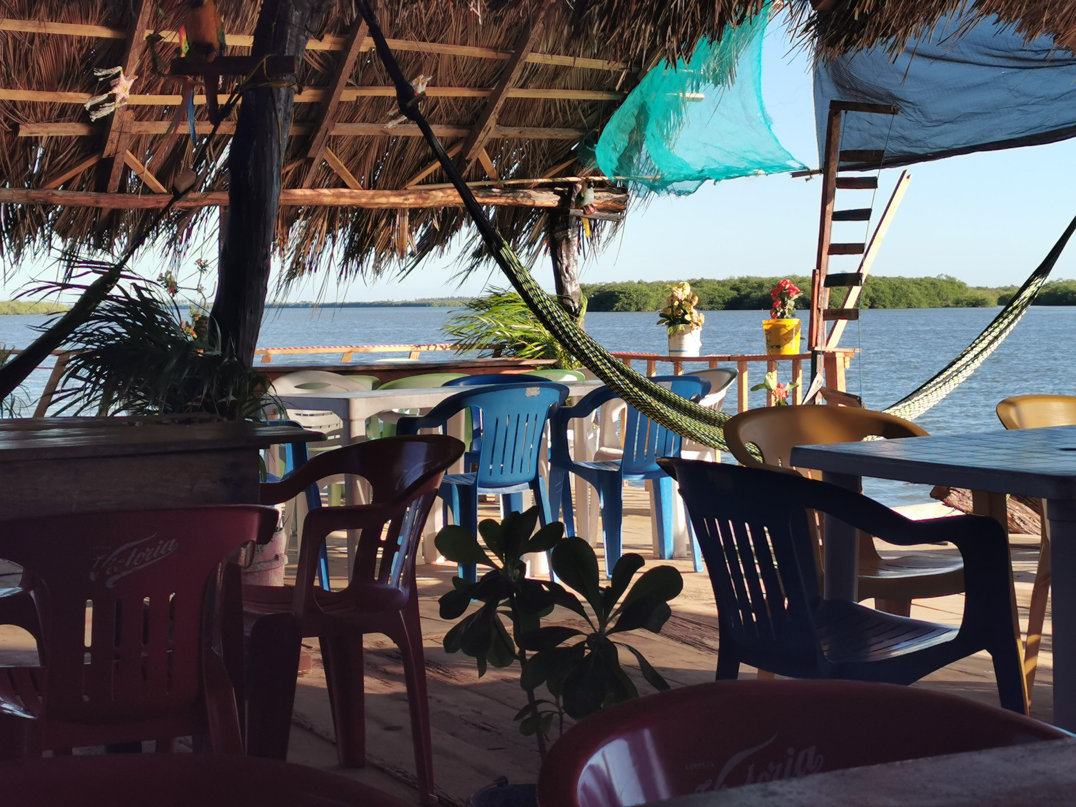 Restaurant Los Manglares image 1