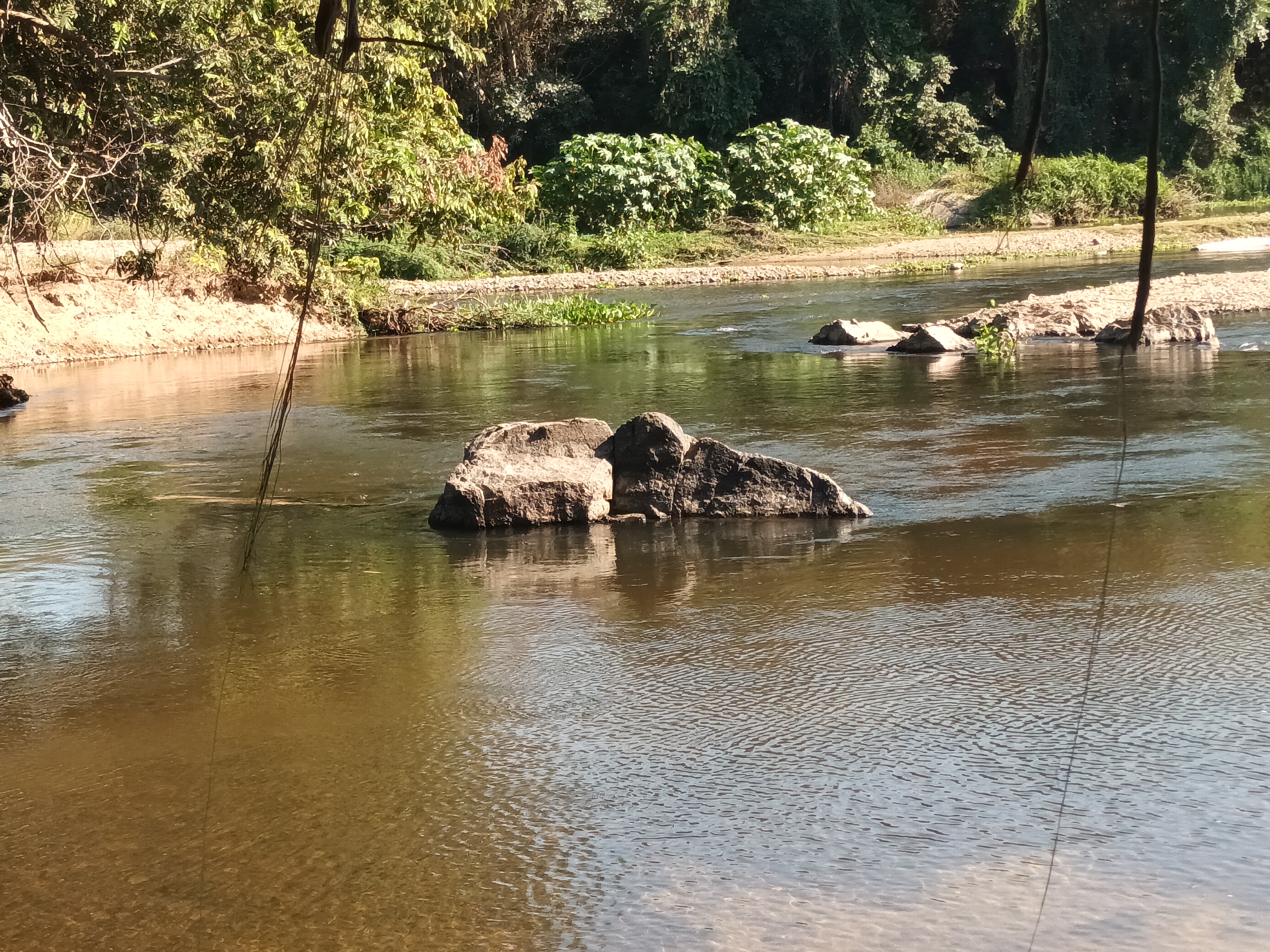 Enramadas “Doña Yenni” image 5