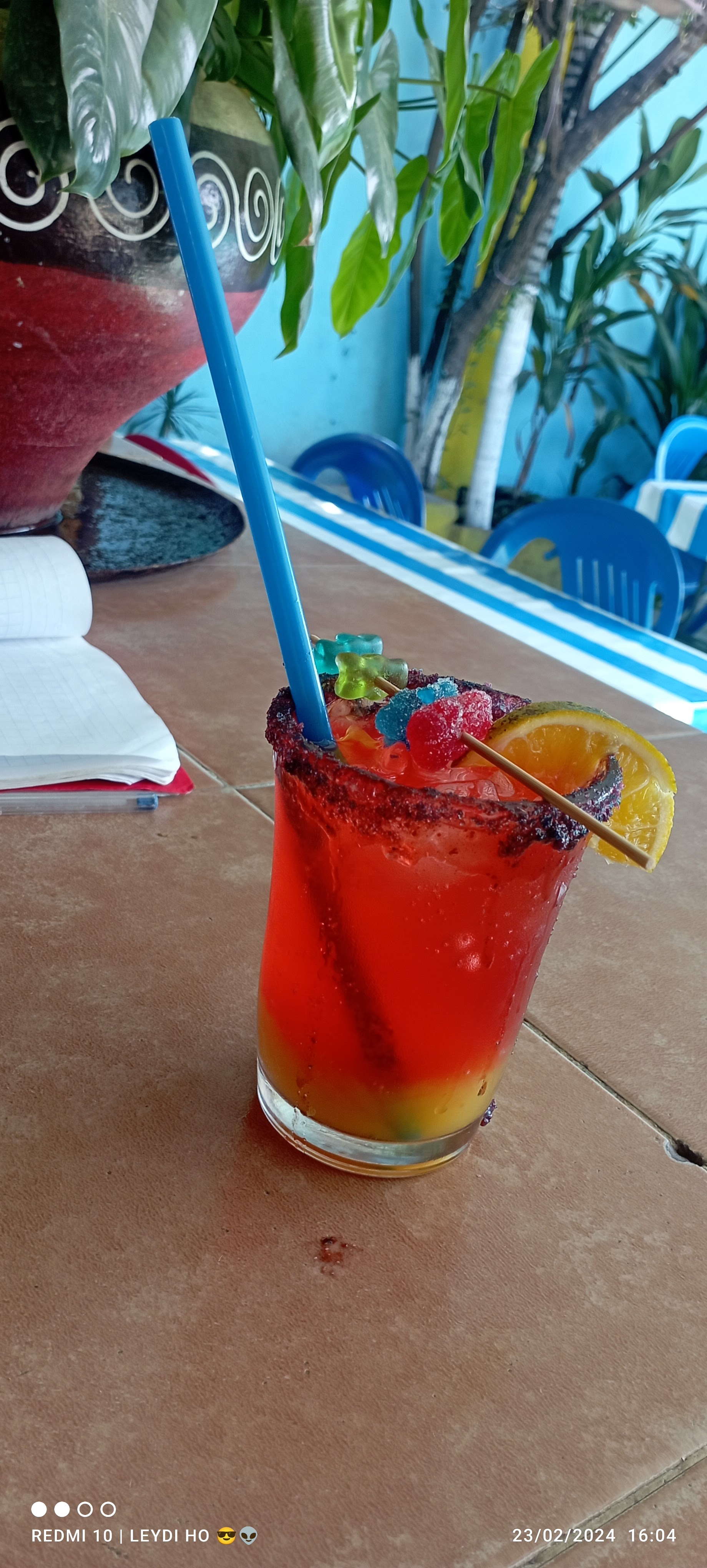 BAR Y ALBERCAS LA ZANDUNGA image 3