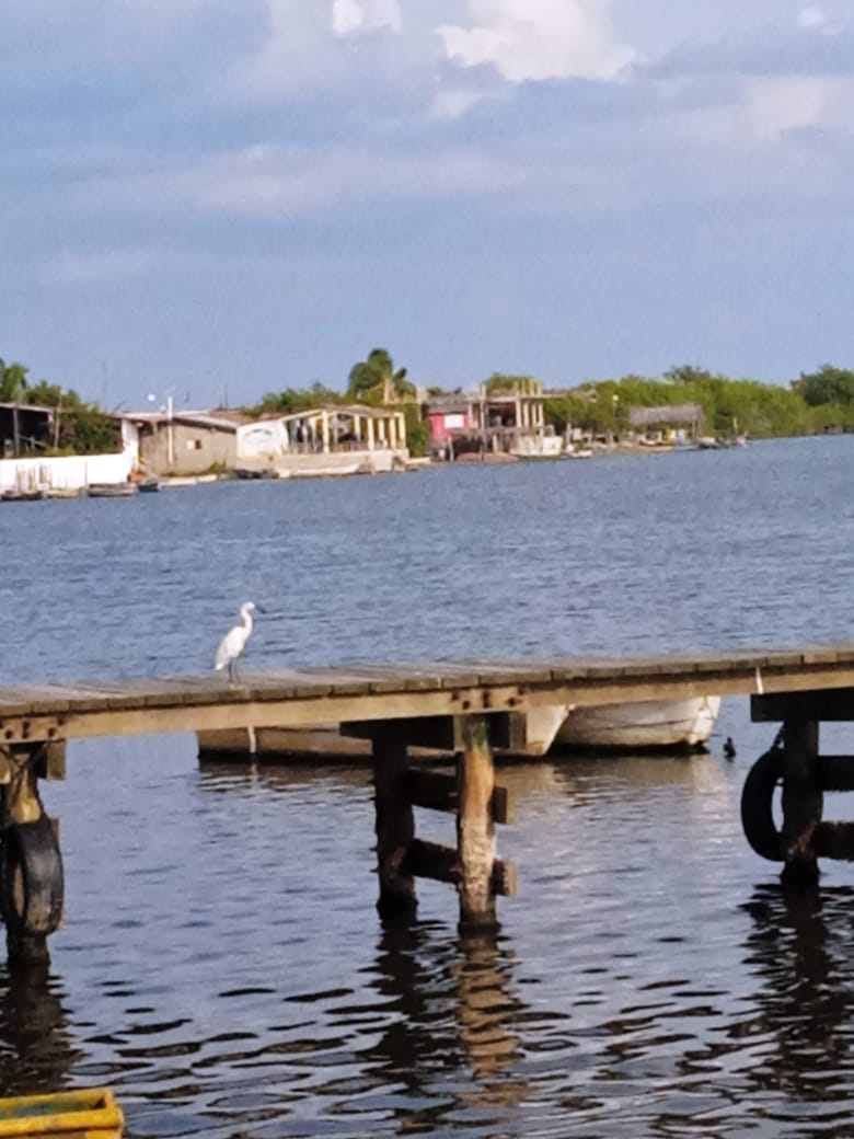 La Cabaña del Capitán image 7