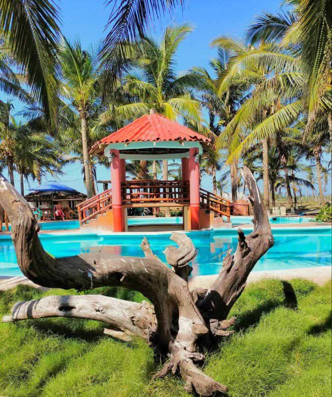 Restaurante Playa el Palmar image 1