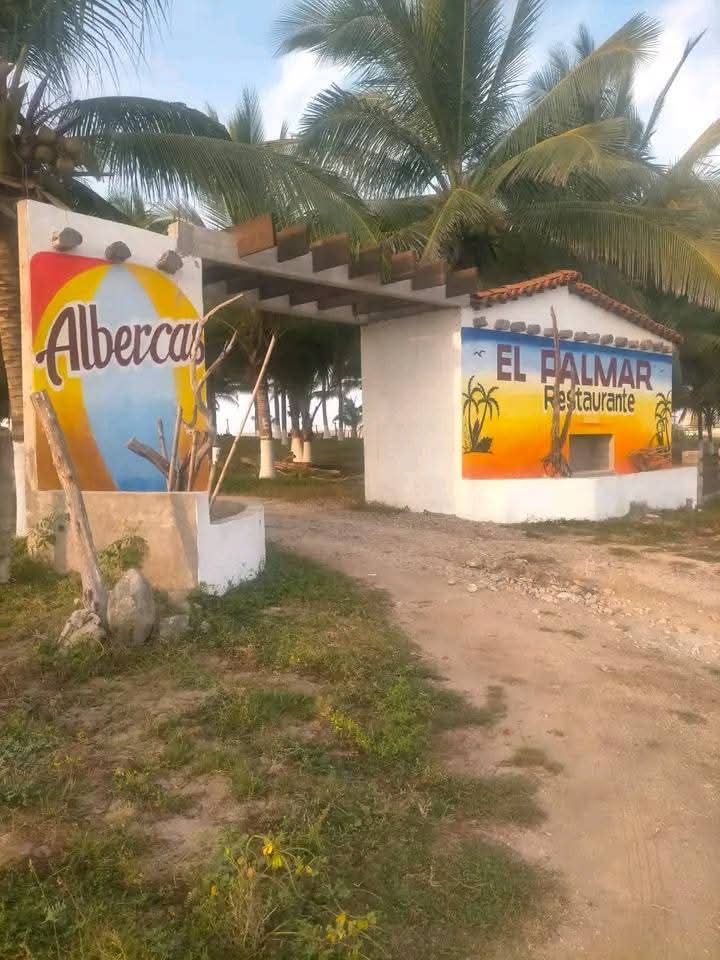 Restaurante Playa el Palmar image 7