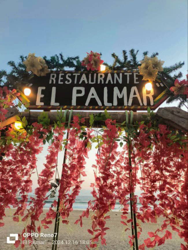 Restaurante Playa el Palmar image 8