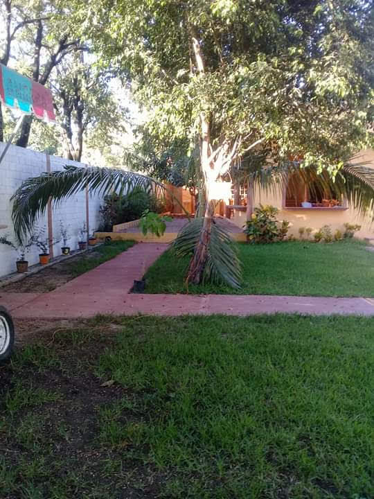 Finca los nietos image 4