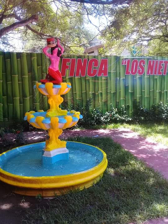 Finca los nietos image 6