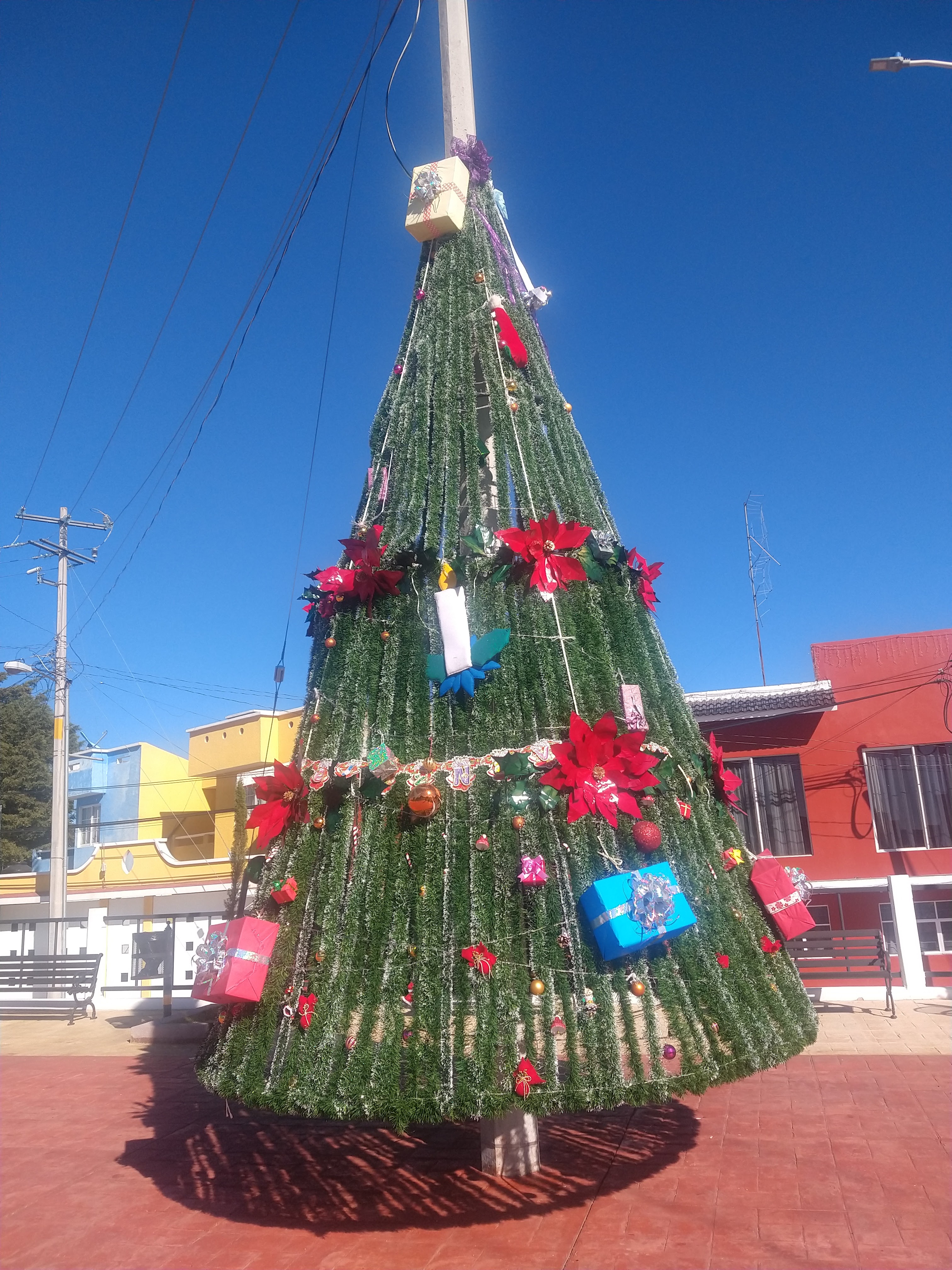 Michesanchez image 4