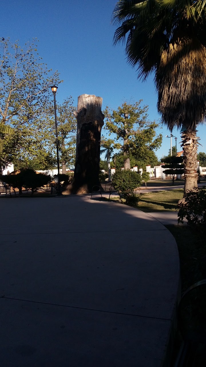 Birrieria Los Mendez image 8