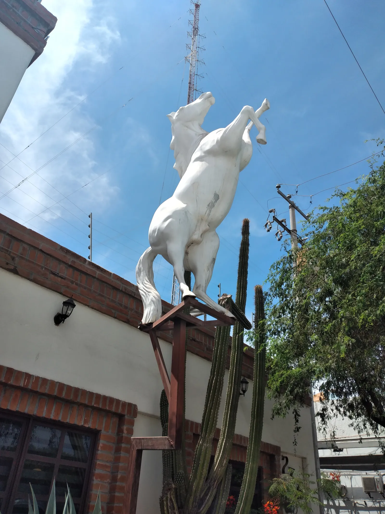 El Bronco image 8