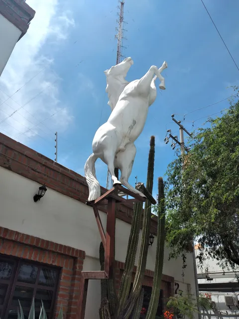 El Bronco image 8