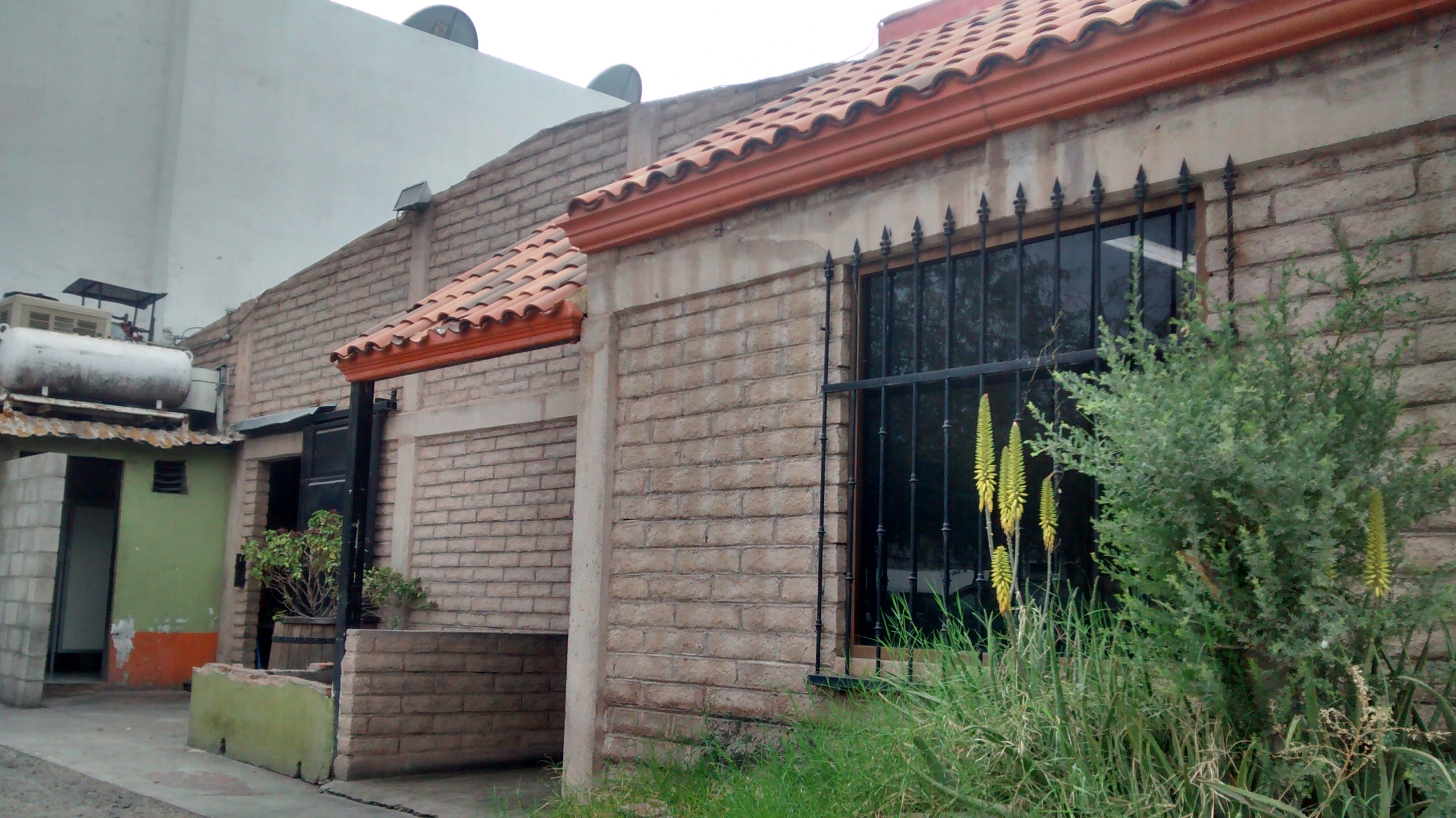 Parrillas Taco & Grill image 1