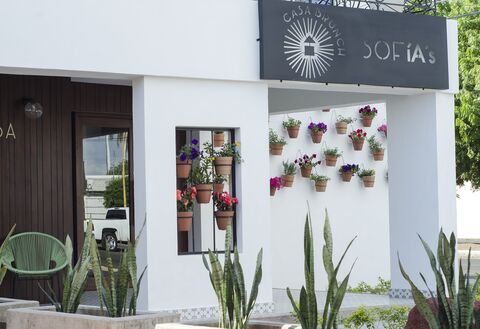 Sofía's Casa Brunch image 1