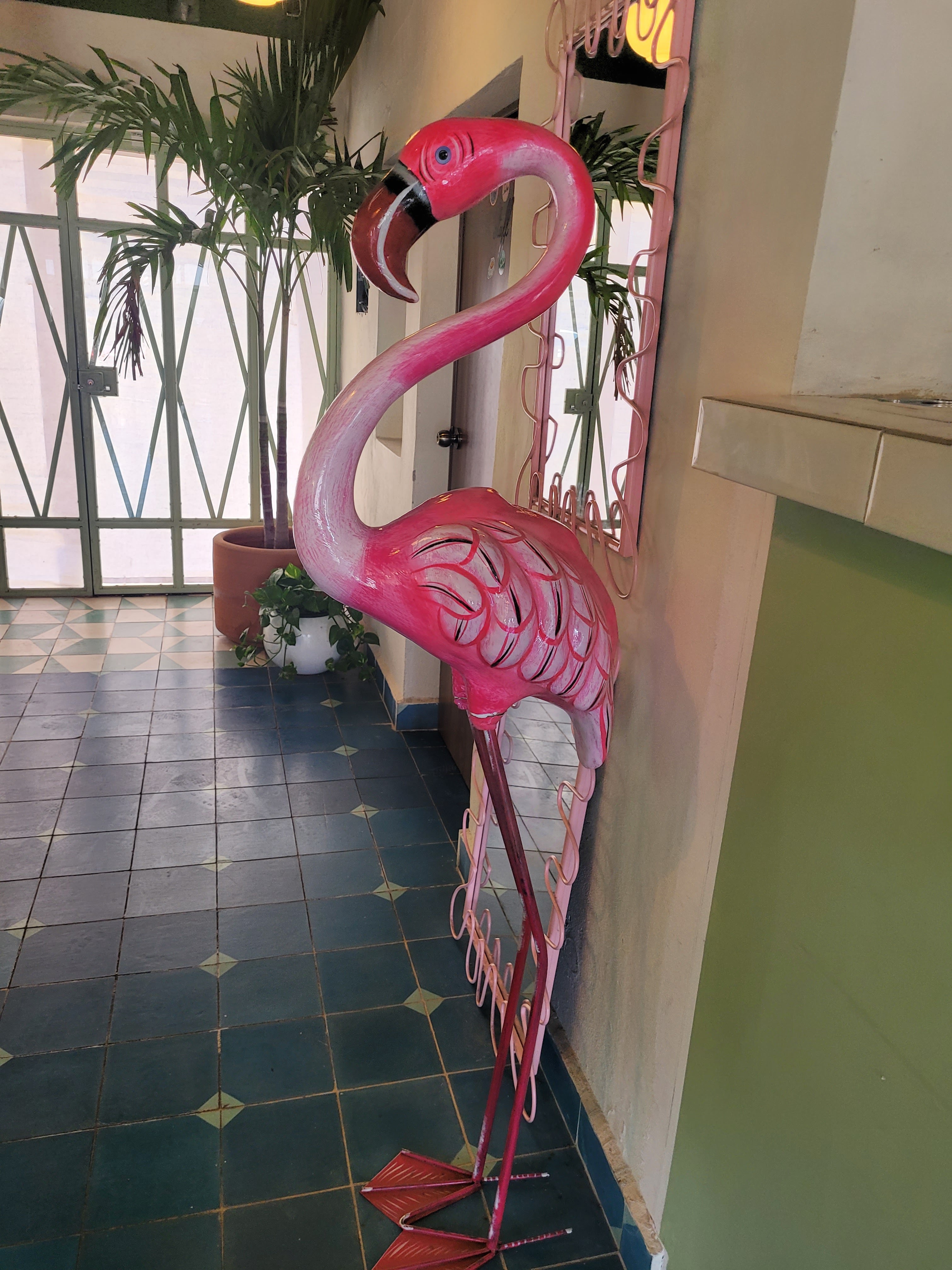 Shelby's Burger image 10