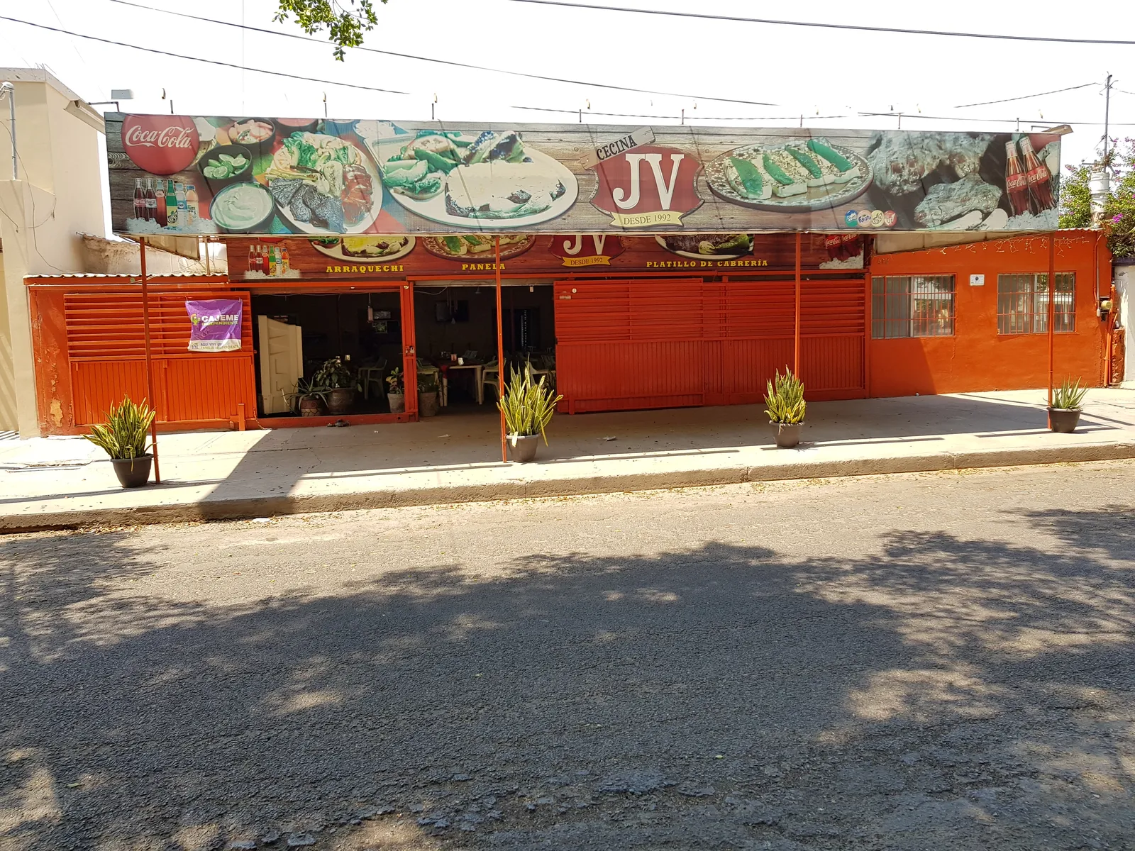 Cecina JV image 1