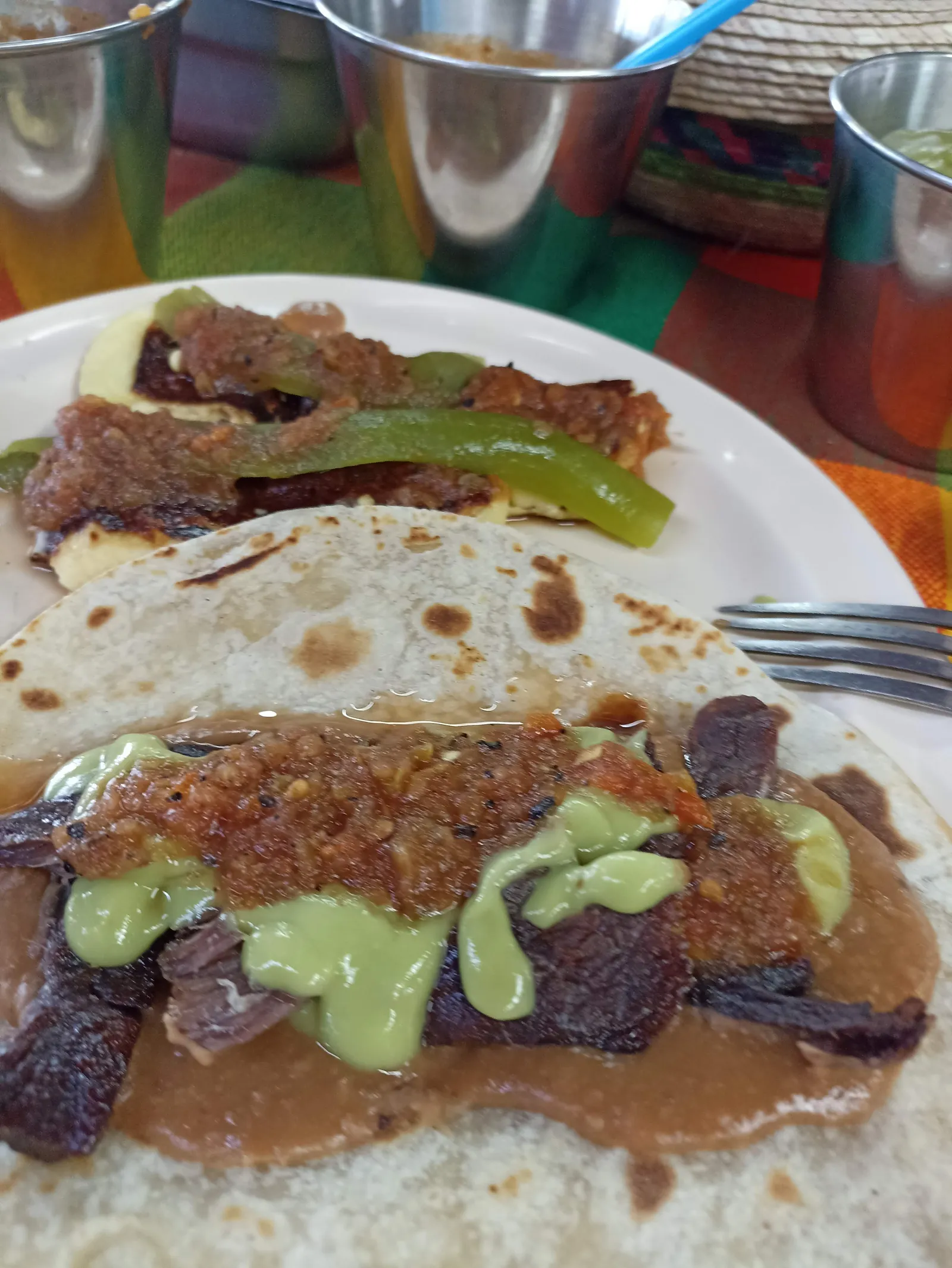 Cecina JV image 7