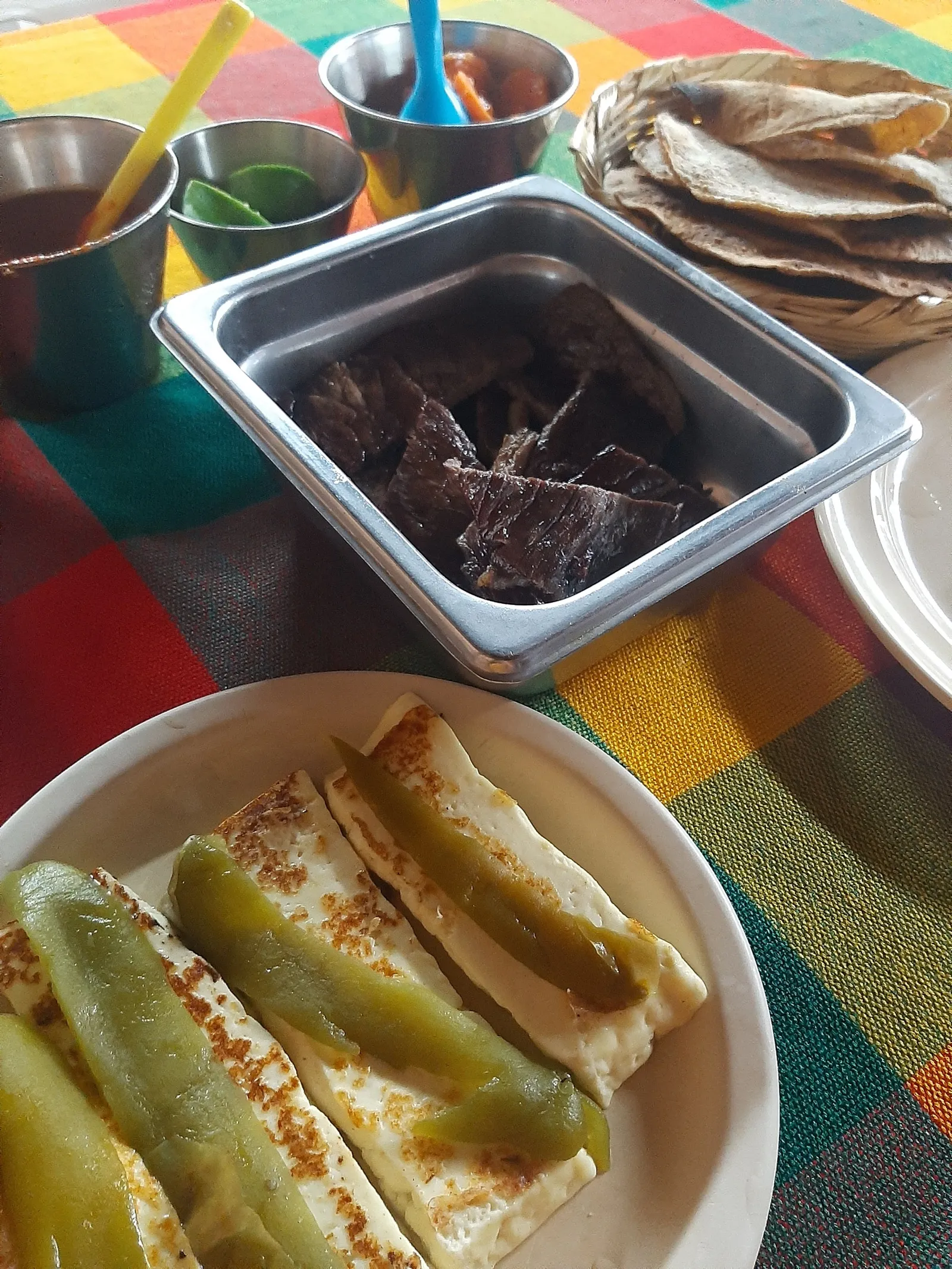 Cecina JV image 8