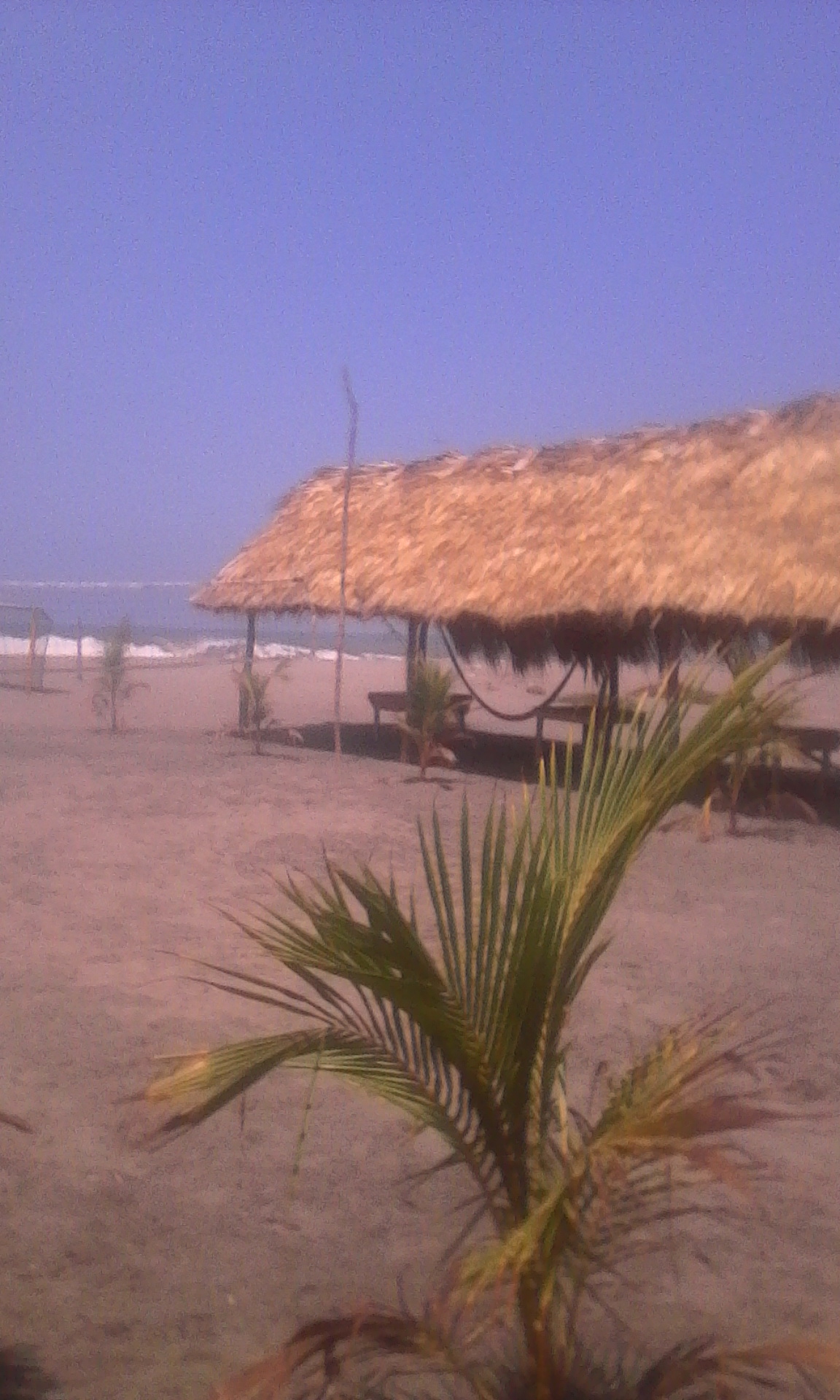 Restaurante AMAYA image 10