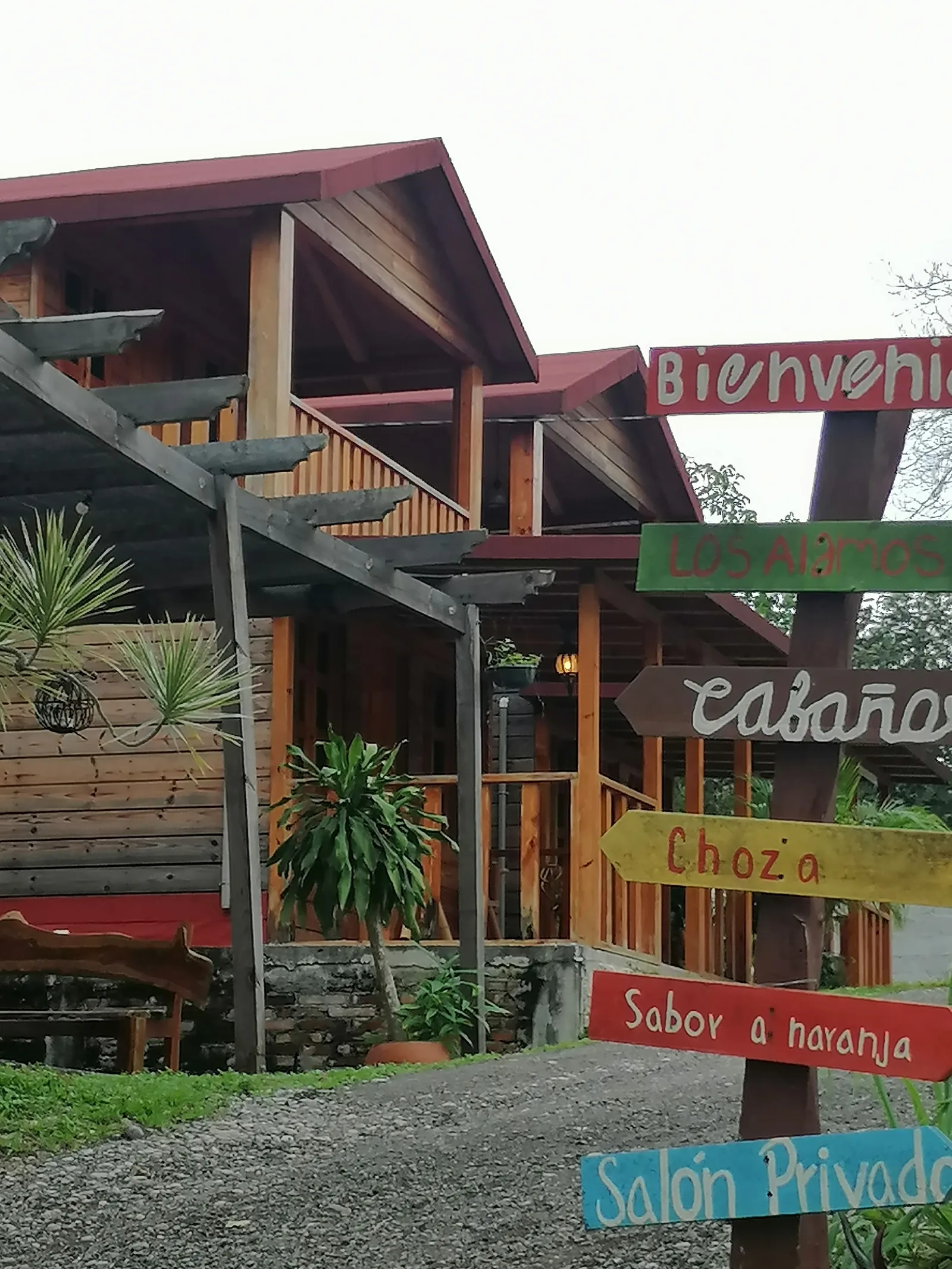 Restaurante Sabor a Naranja image 7
