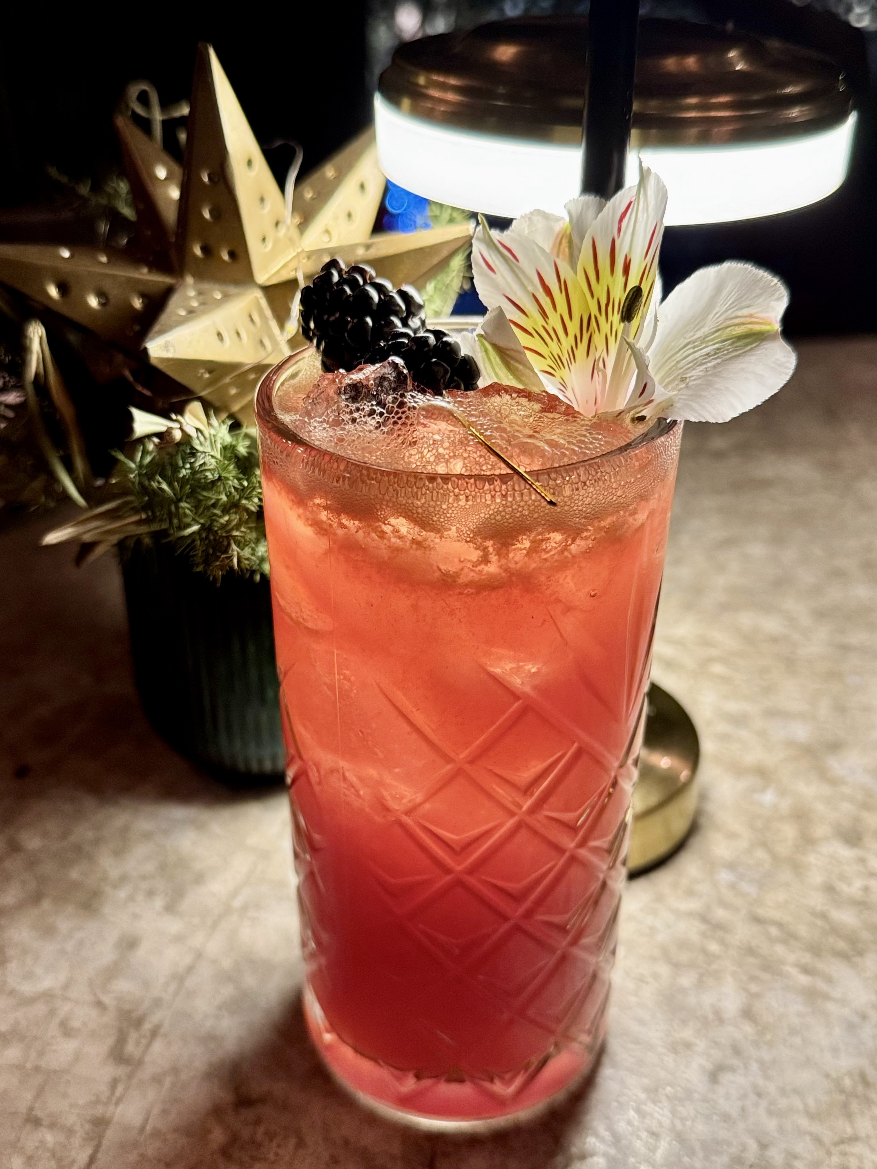 Santero cocina y terraza image 5