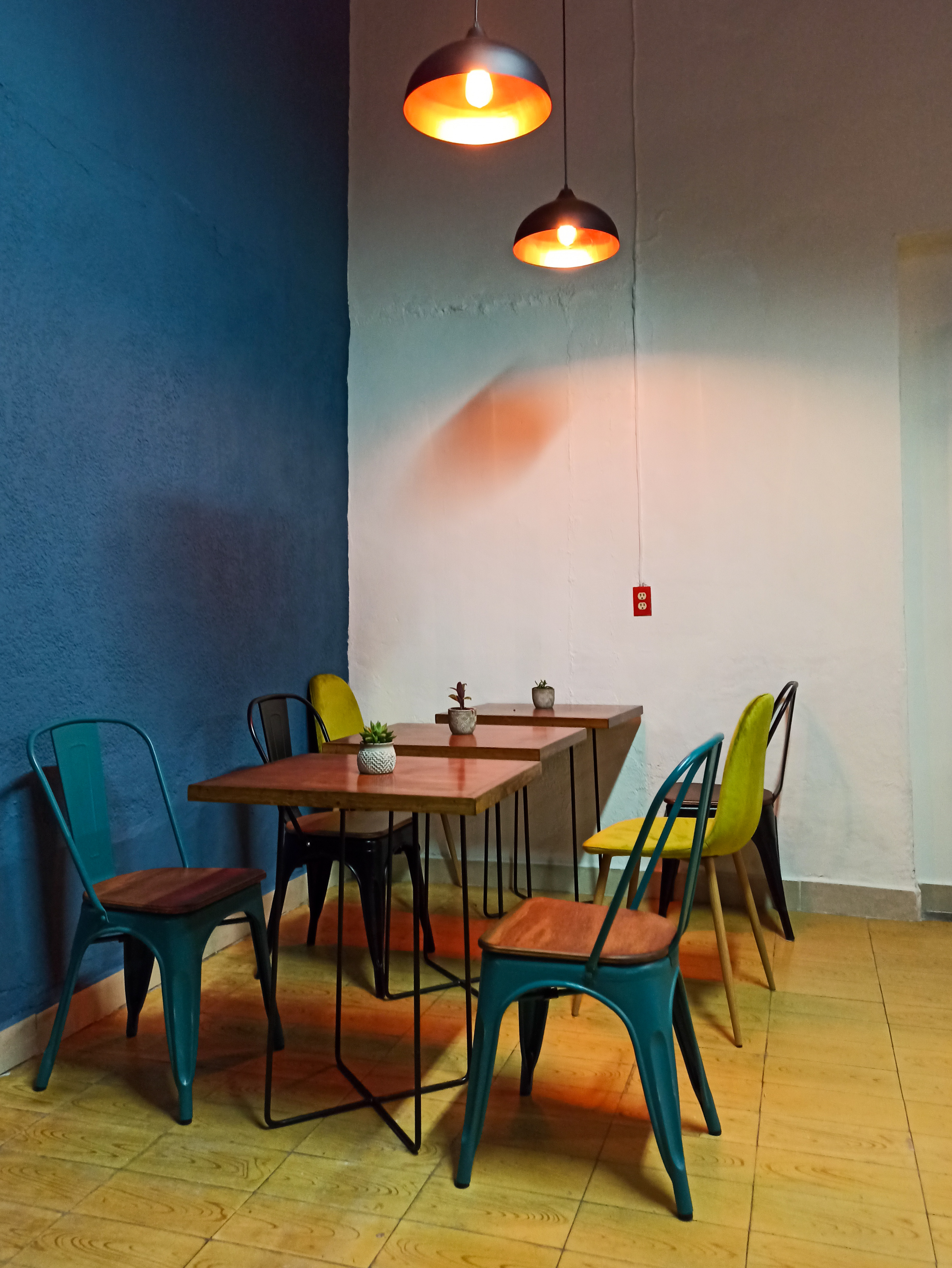 Mestizo Cocina Abierta image 1