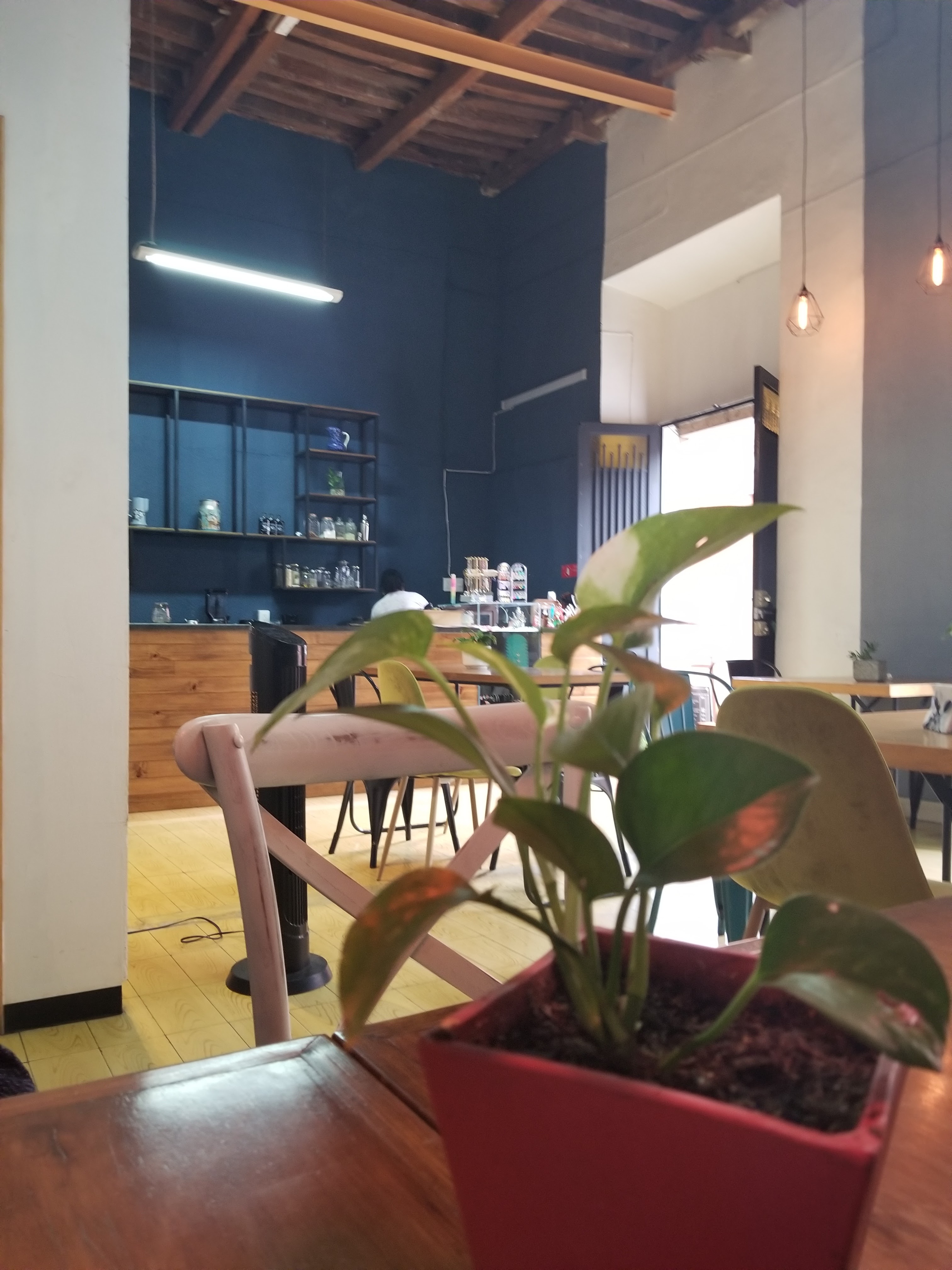 Mestizo Cocina Abierta image 8