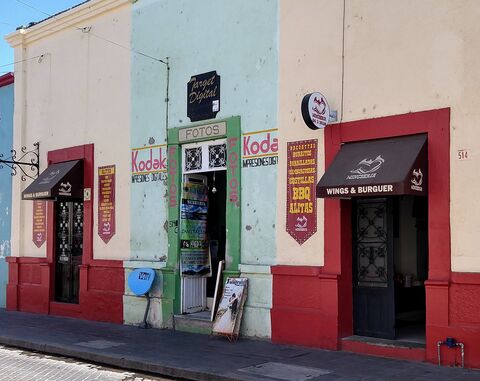 Wingseria image 1