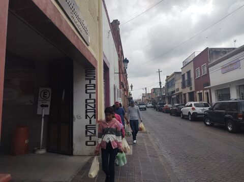 Wingseria image 7
