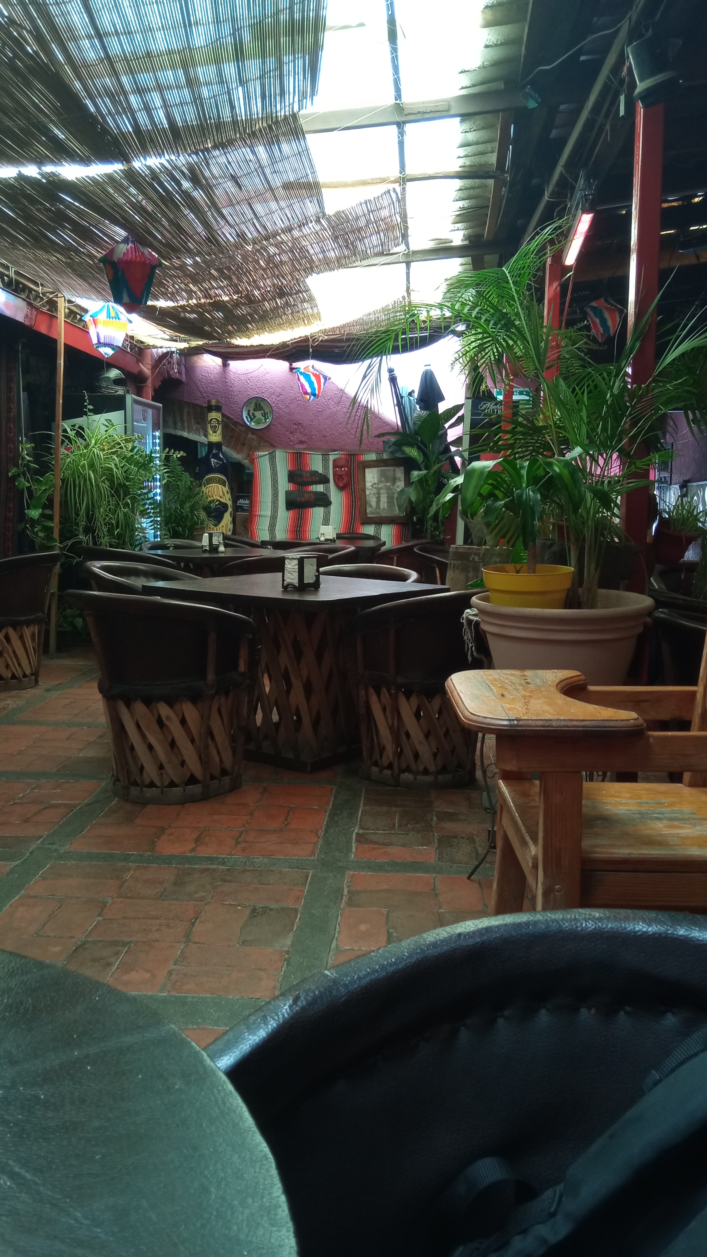 El Patio Salvatierra image 4