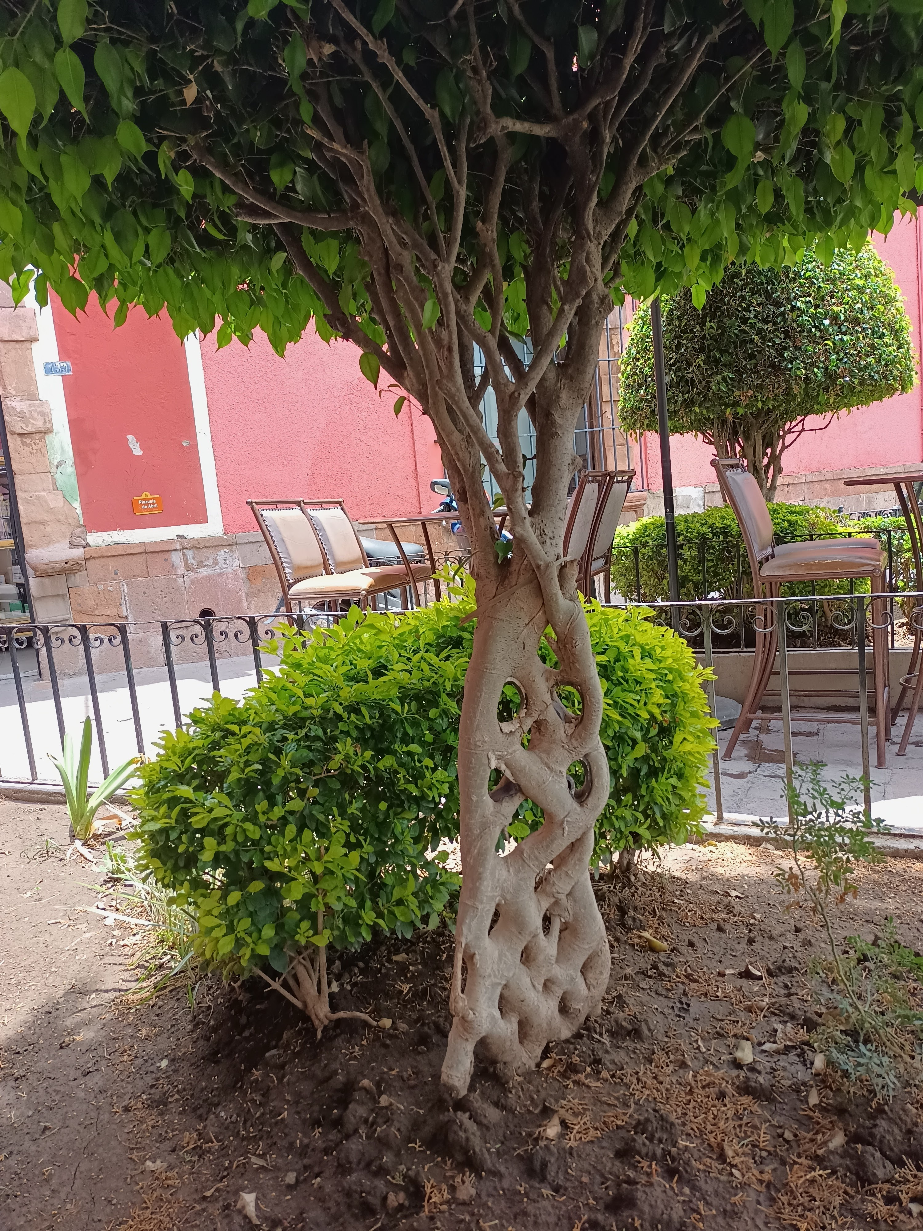 El Diezmo Barra & Snack image 5