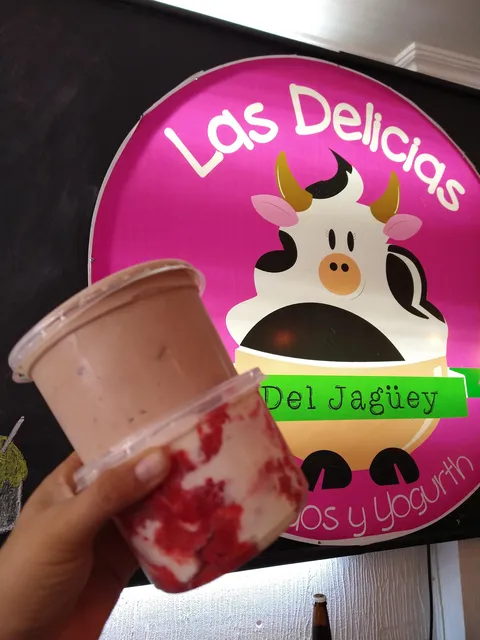 Las Delicias Salvatierra image 4