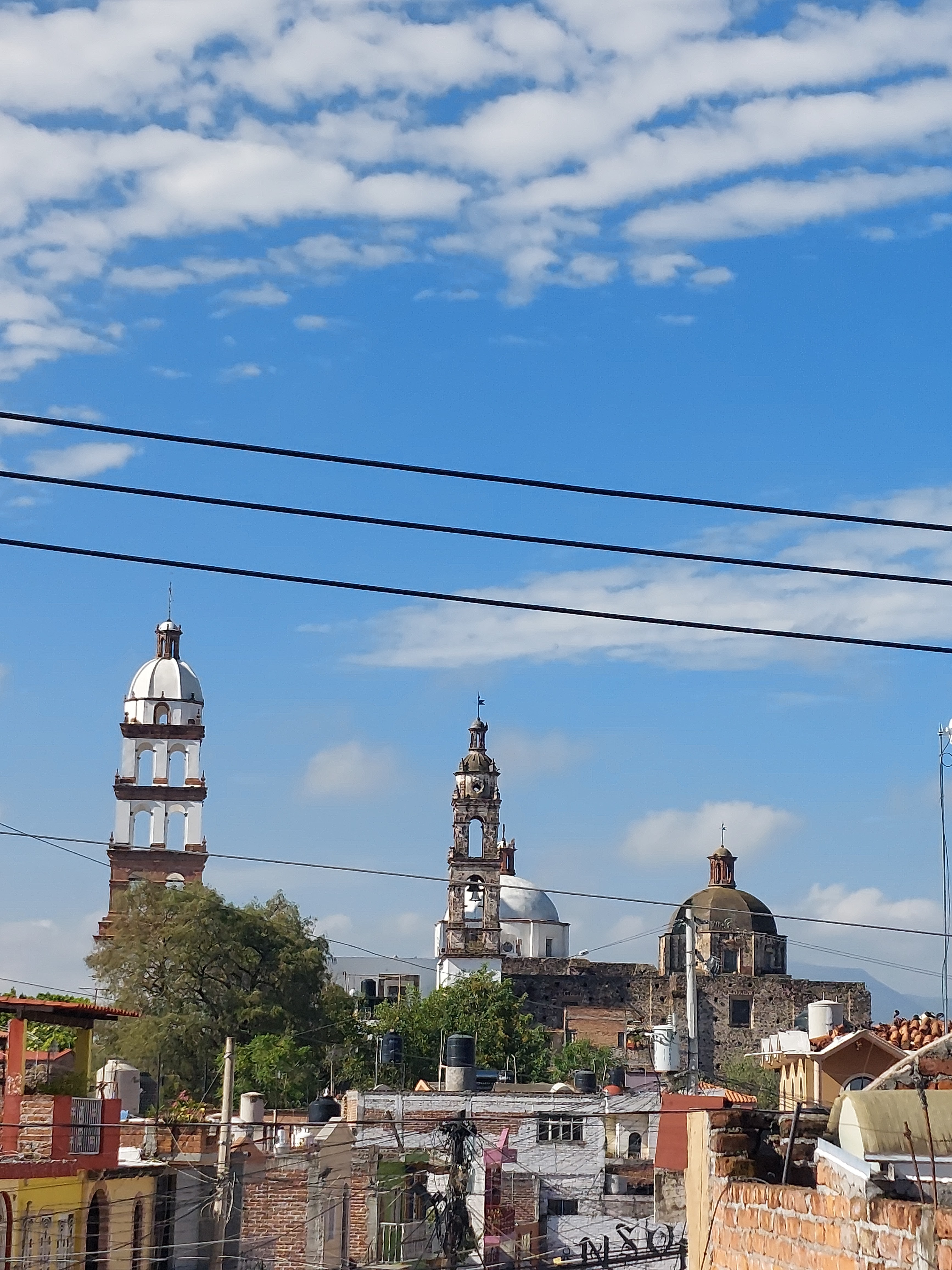 Las Delicias Salvatierra image 7