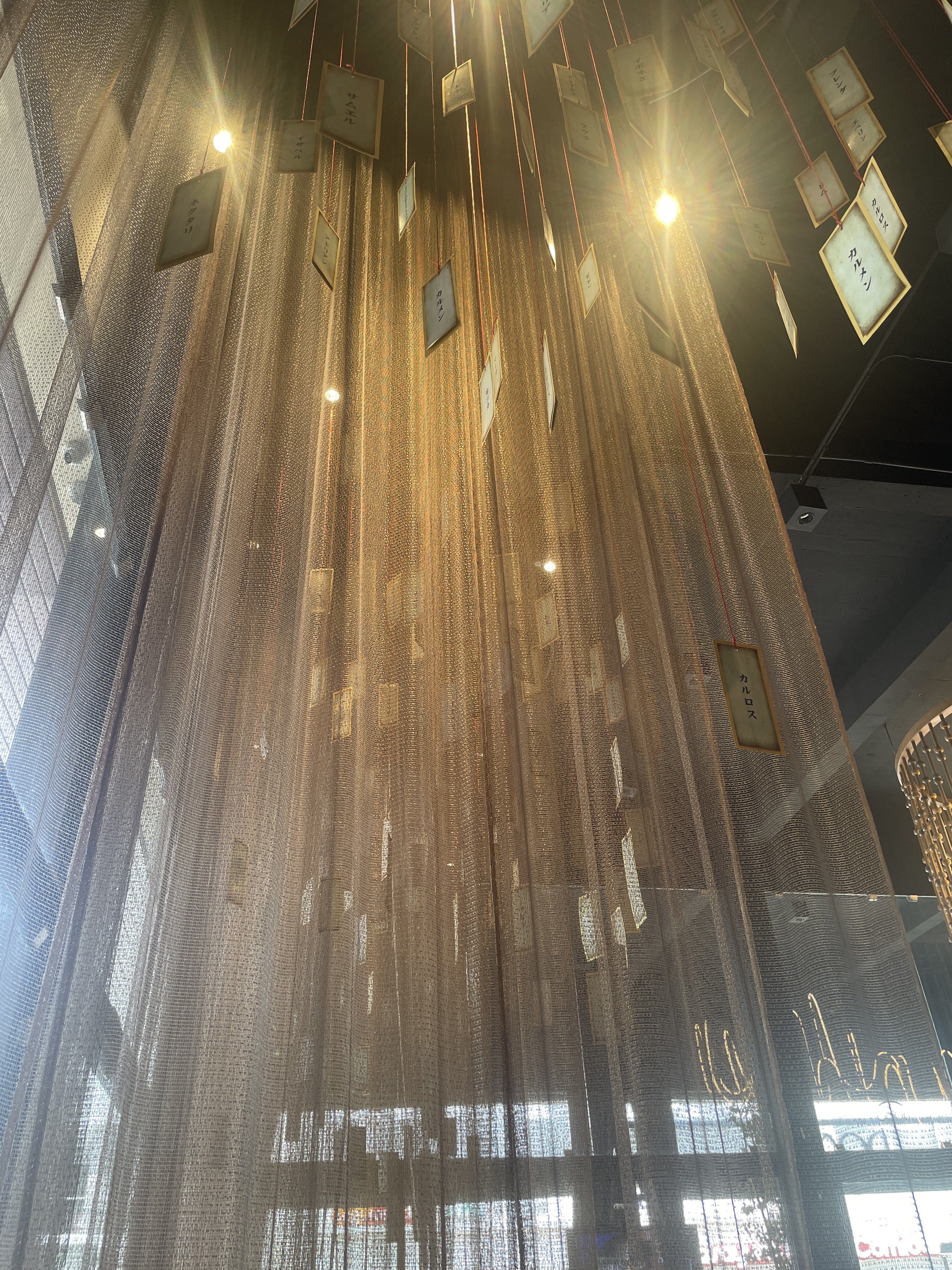 Domu Sushi Bar Xalapa image 10