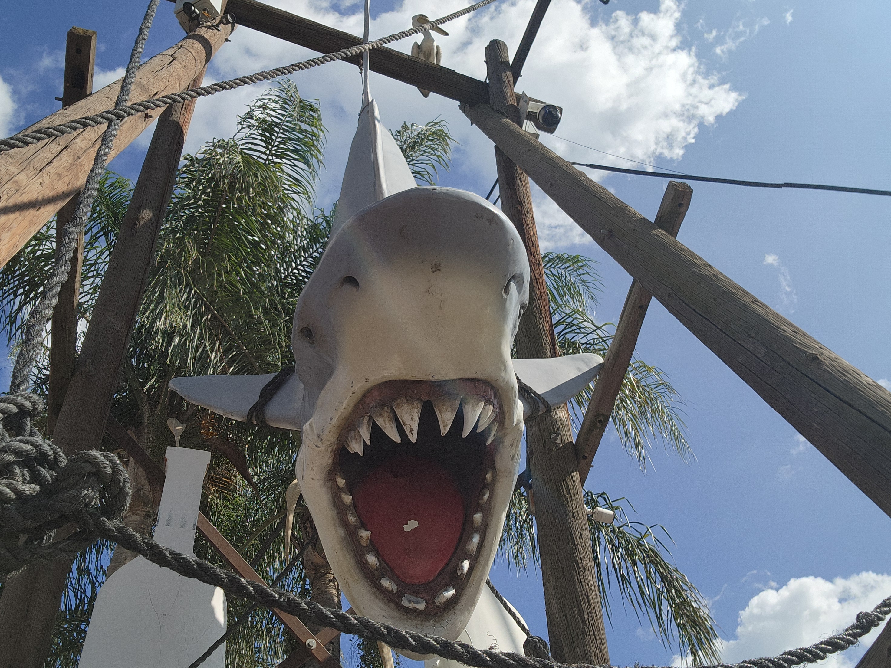 Mariscos Valle image 3