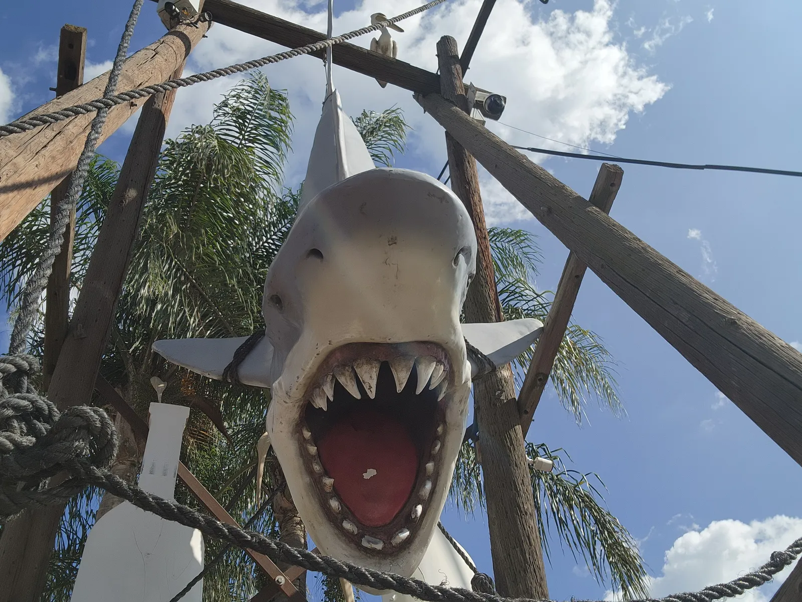 Mariscos Valle image 3